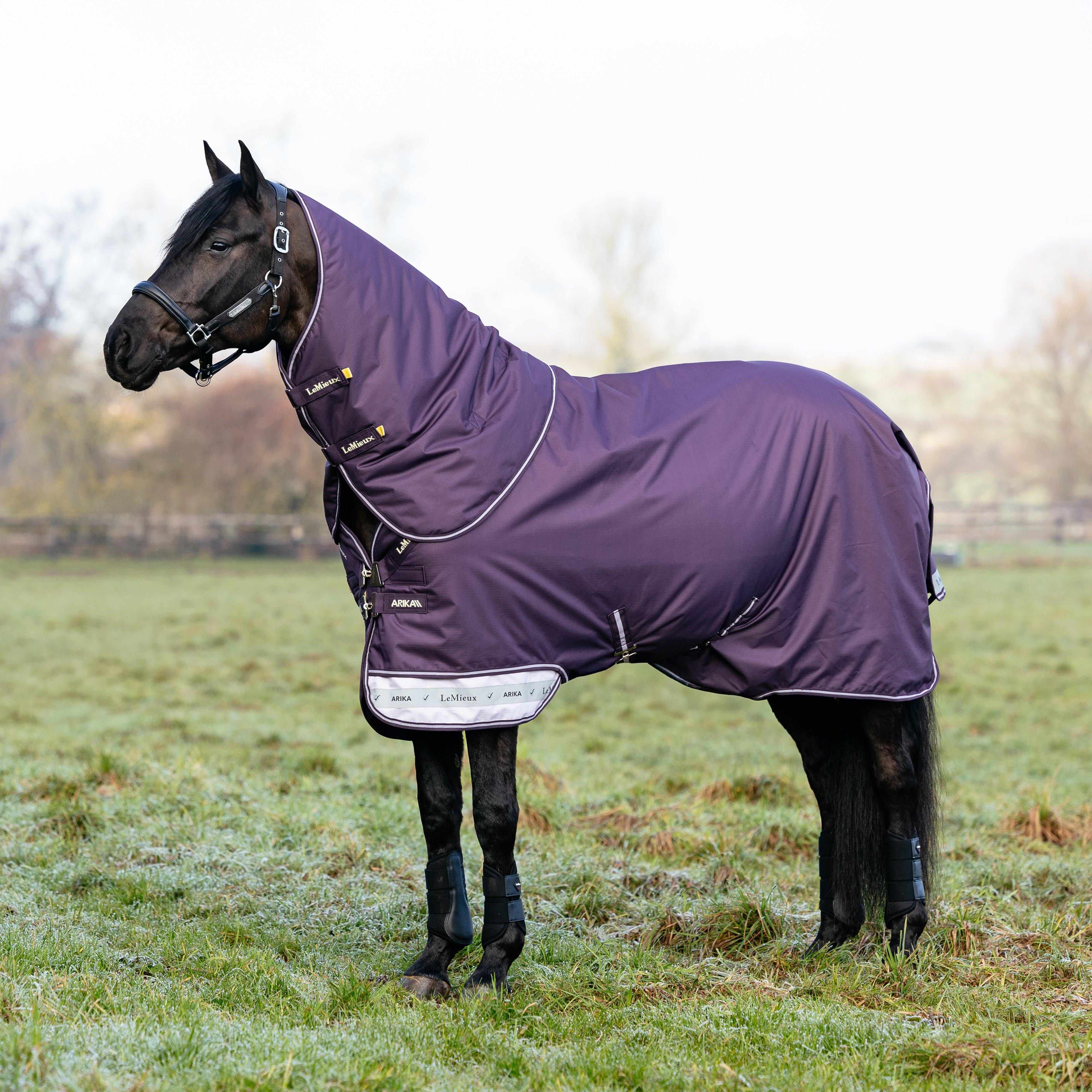 Arika Ripstop Turnout Rug 100g Juniper