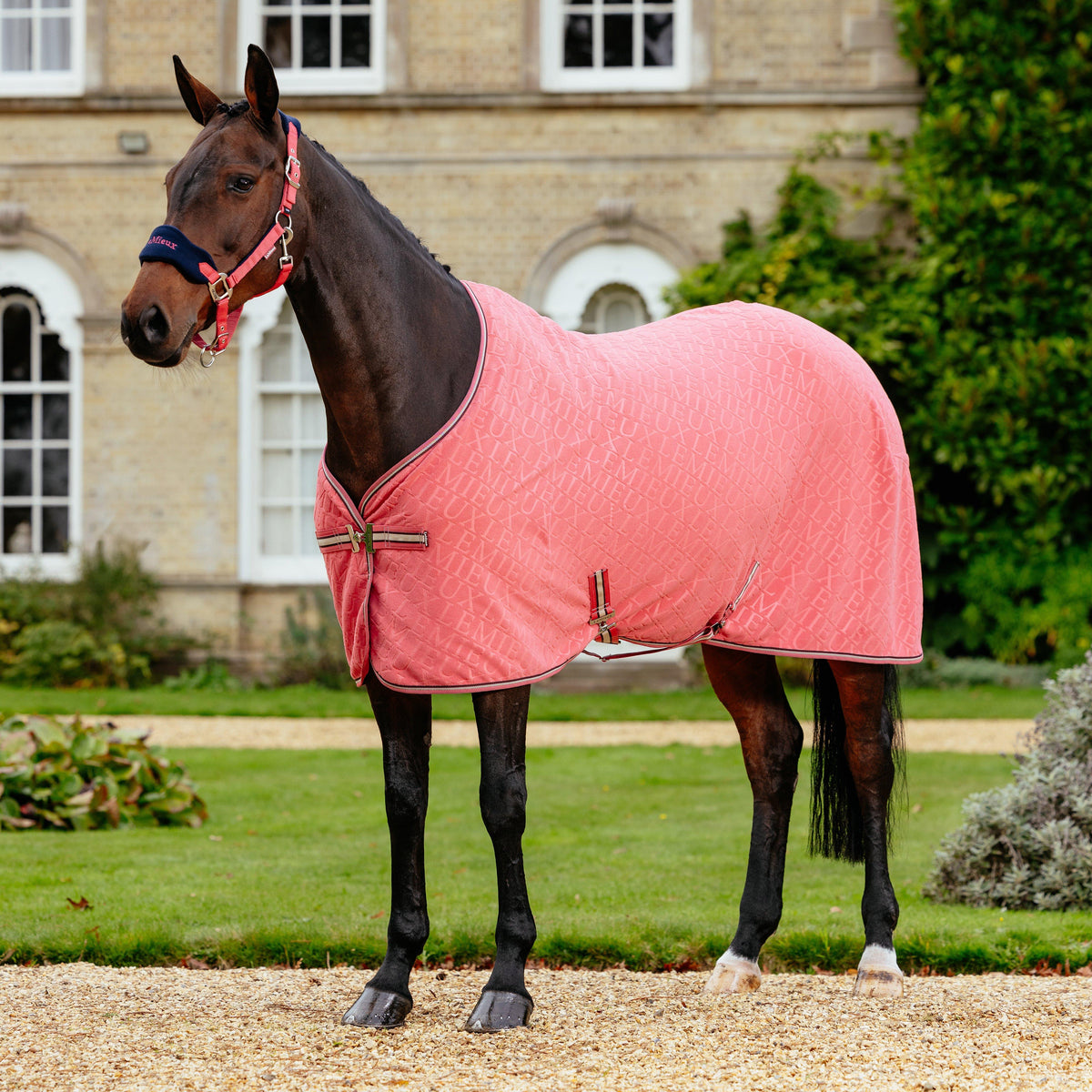 Arika Monogram Fleece Rug Cranberry