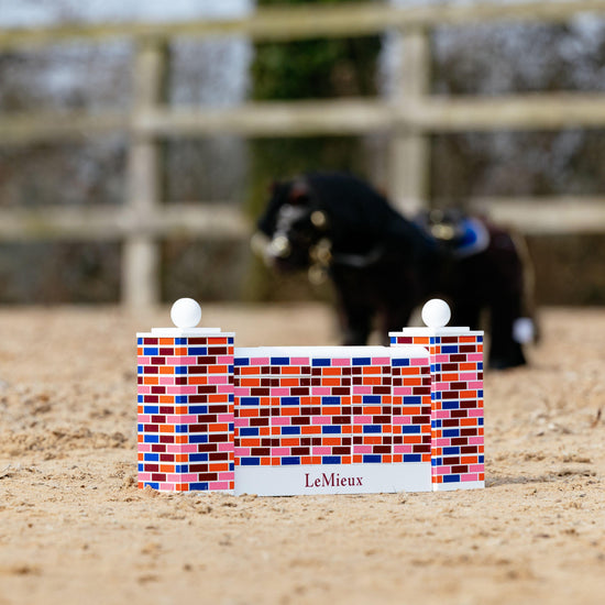 Toy Pony Puissance Wall