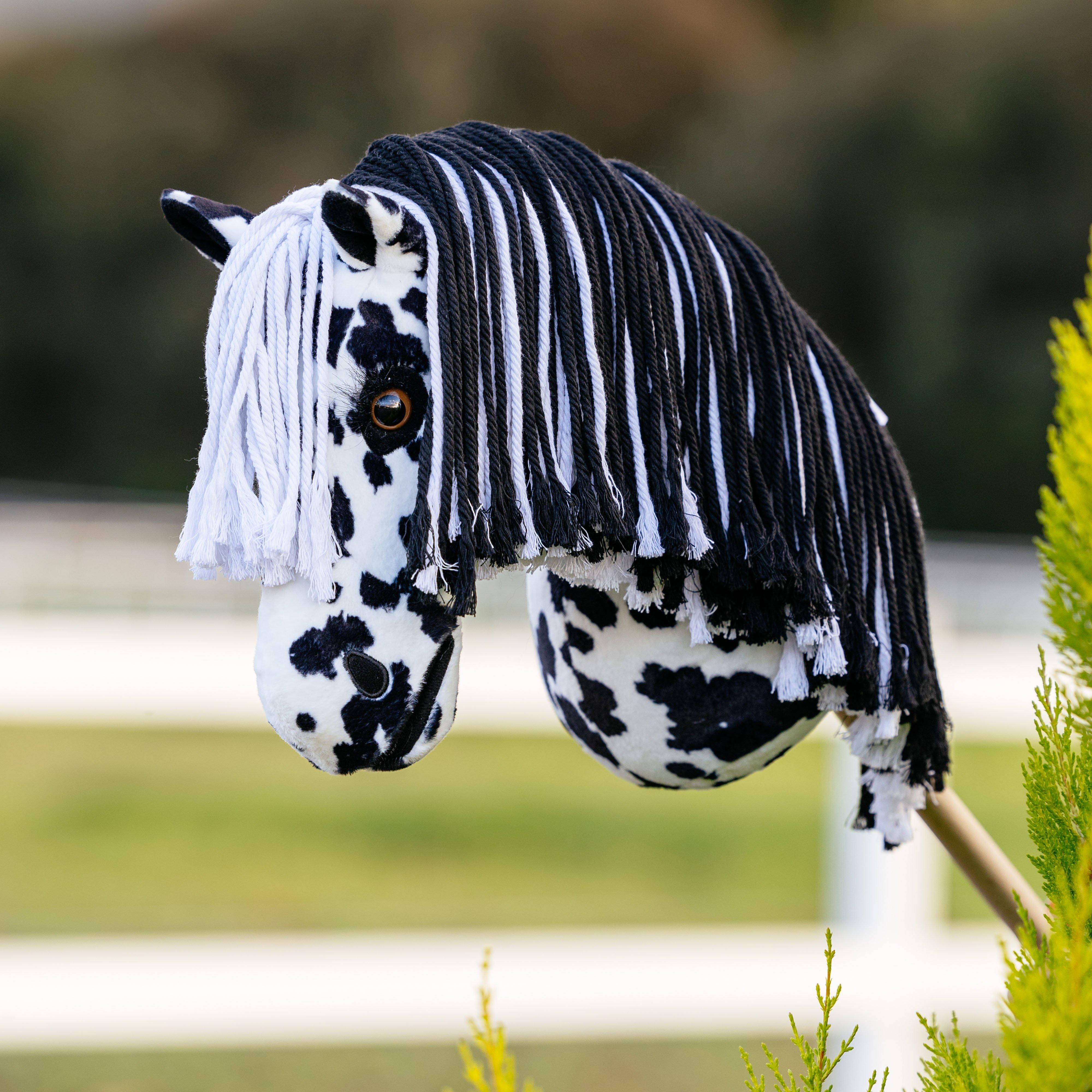 Hobby Horse Dakota