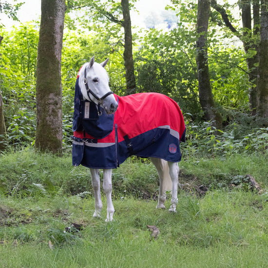 Pro 100g Turnout Rug Red/Navy
