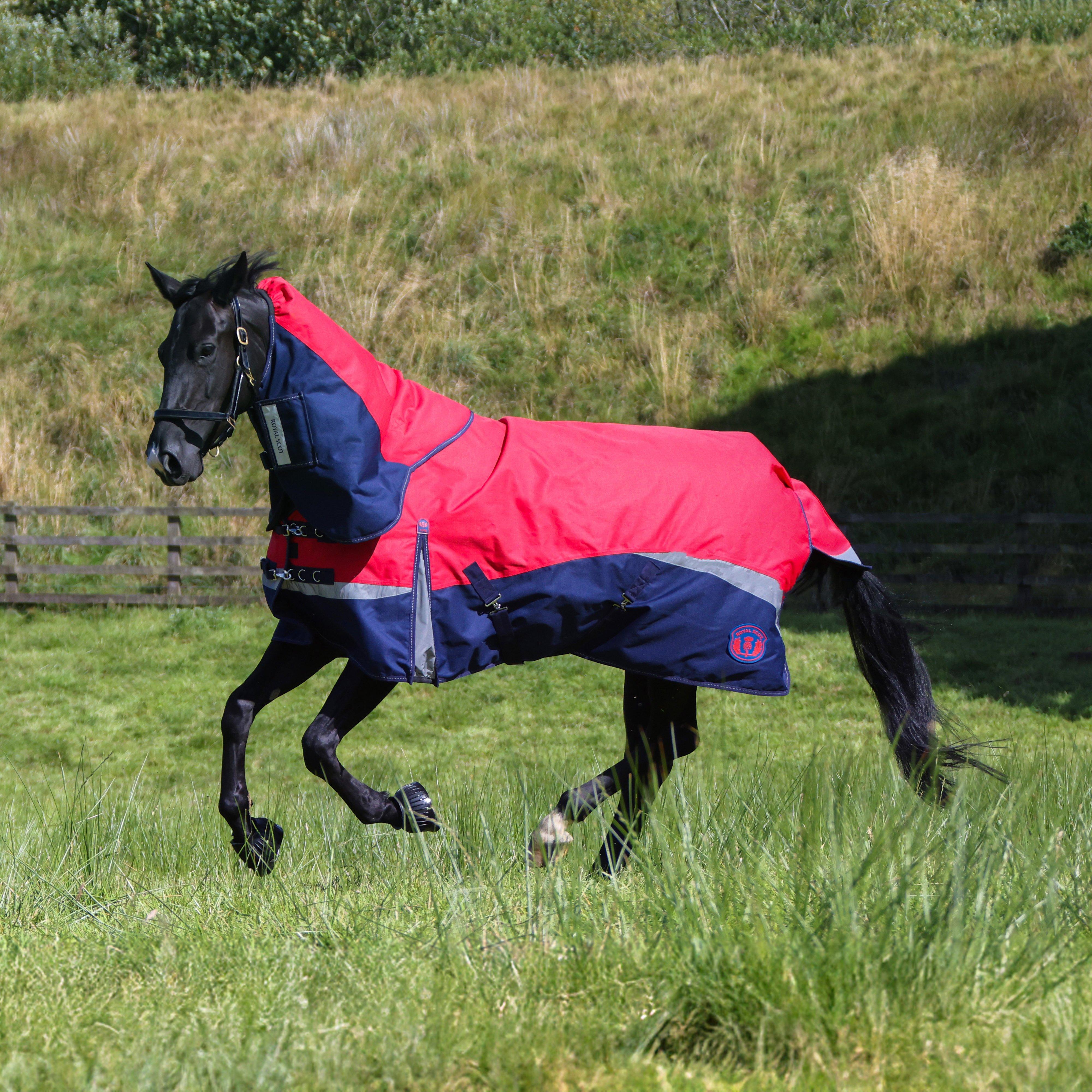 Pro 100g Turnout Rug Red/Navy