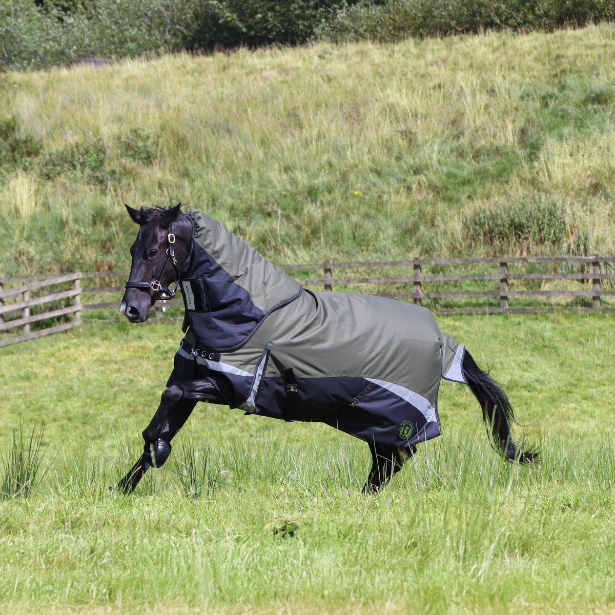 Pro 200g Turnout Rug Olive/Black