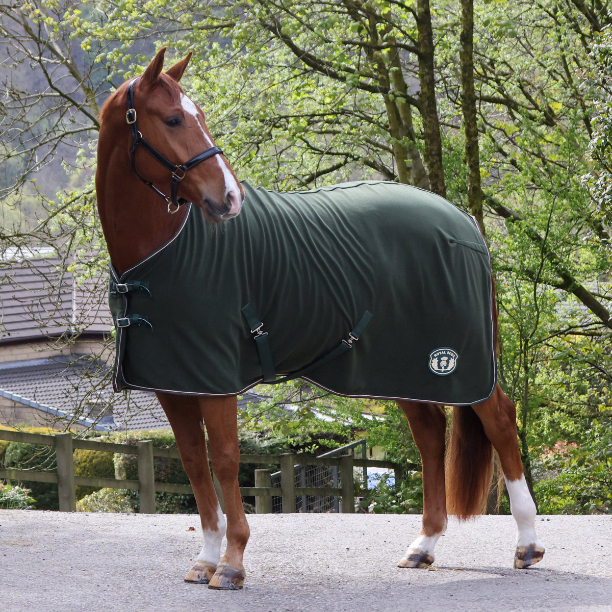 Original Fleece Standard Neck Rug Olive