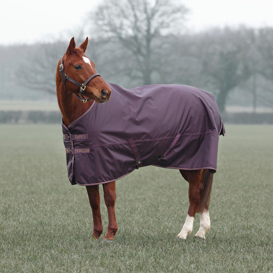 Typhoon 100g Standard Neck Turnout Rug Black Cherry
