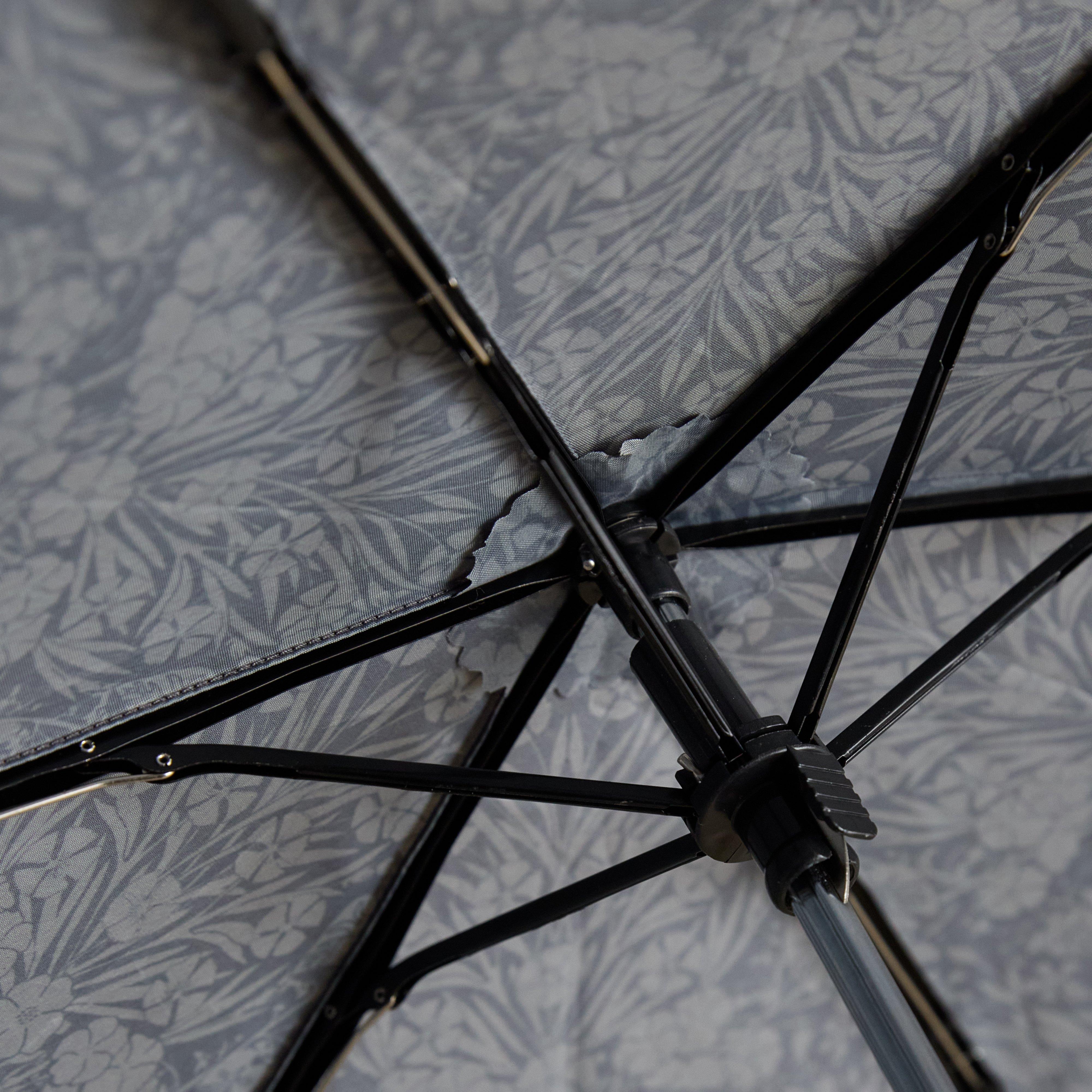 Rayne Umbrella