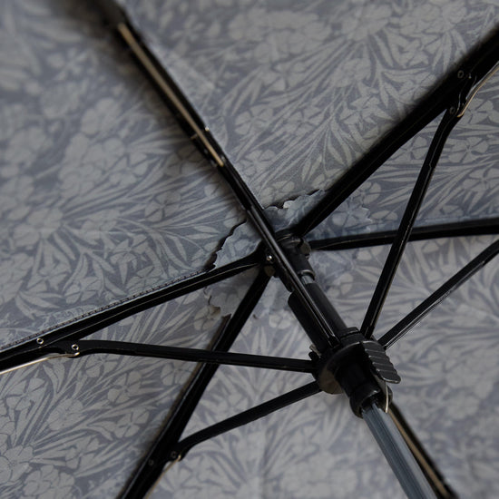 Rayne Umbrella