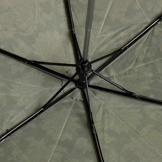 Rayne Umbrella