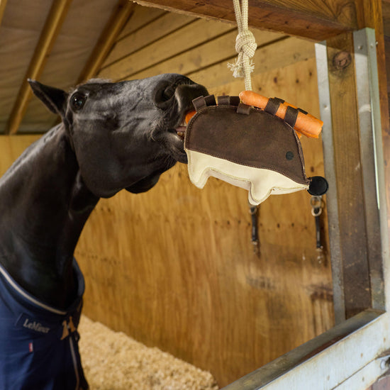 Stable Toy Hedgehog