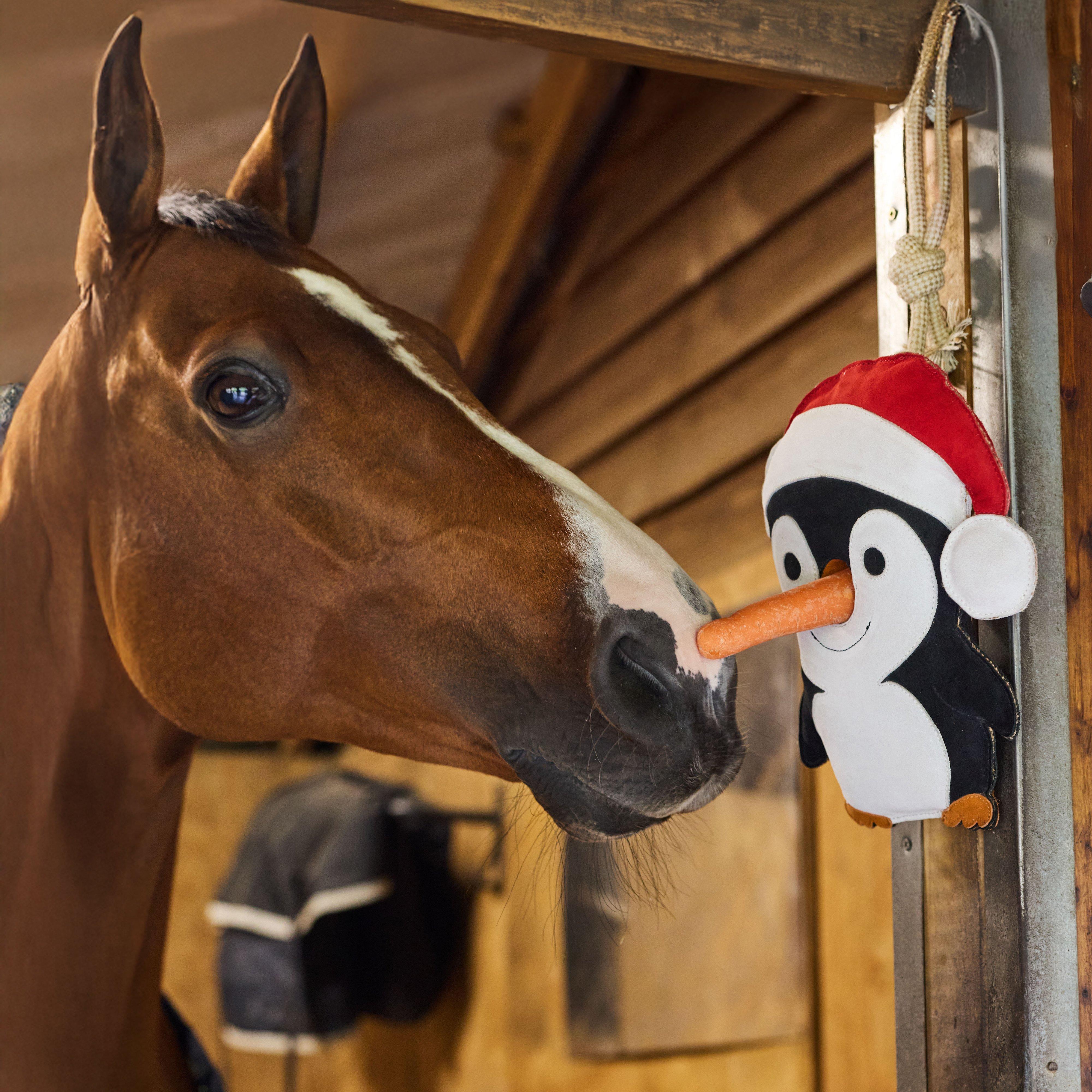 Stable Toy Penguin