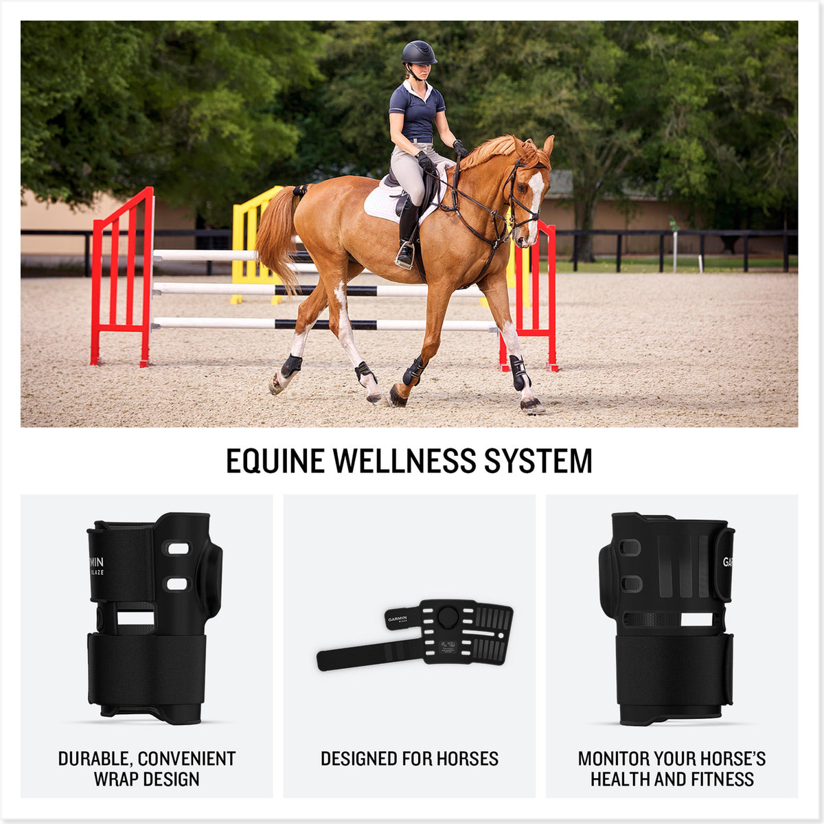 Blazeâ„¢ Equine Wellness System