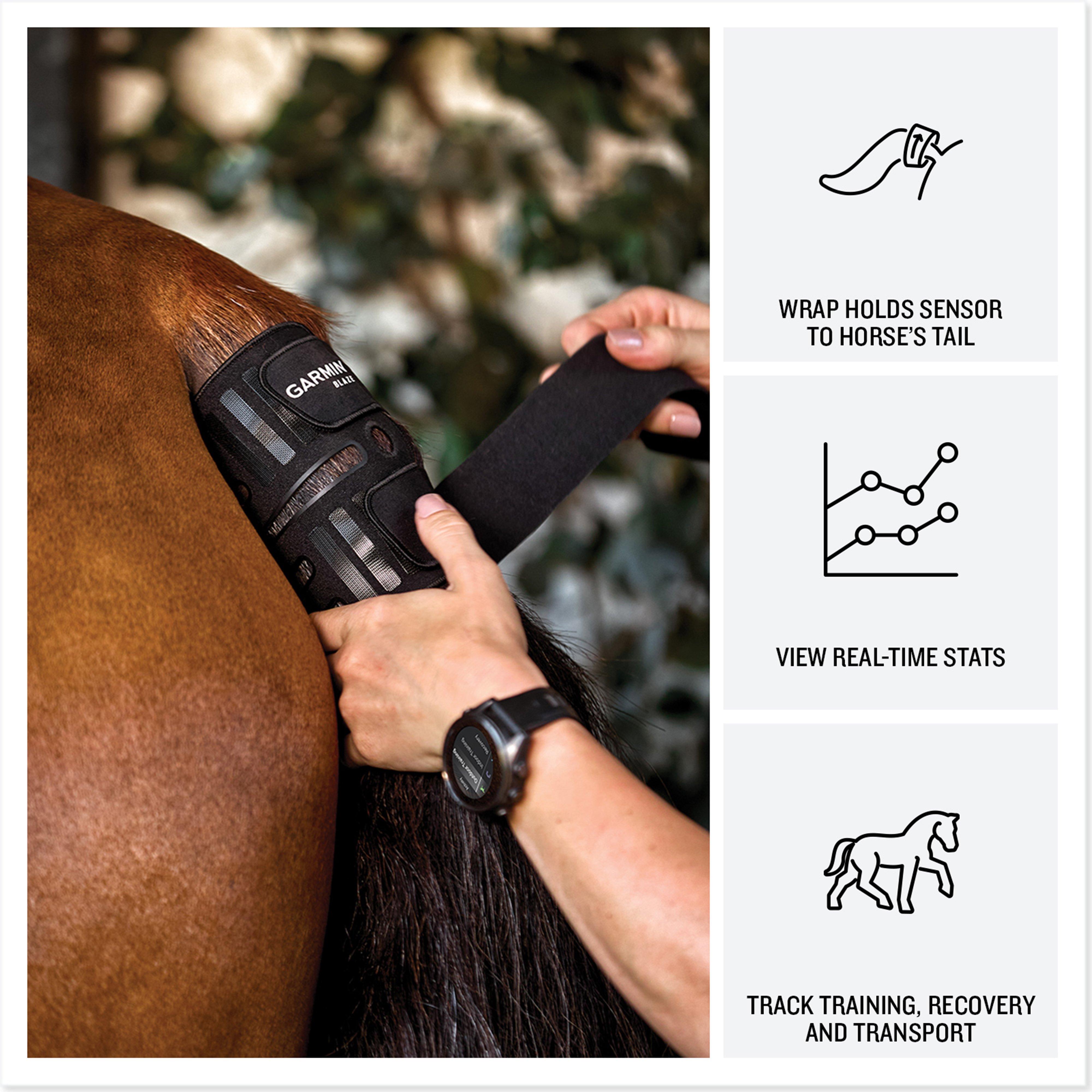 Blazeâ„¢ Equine Wellness System