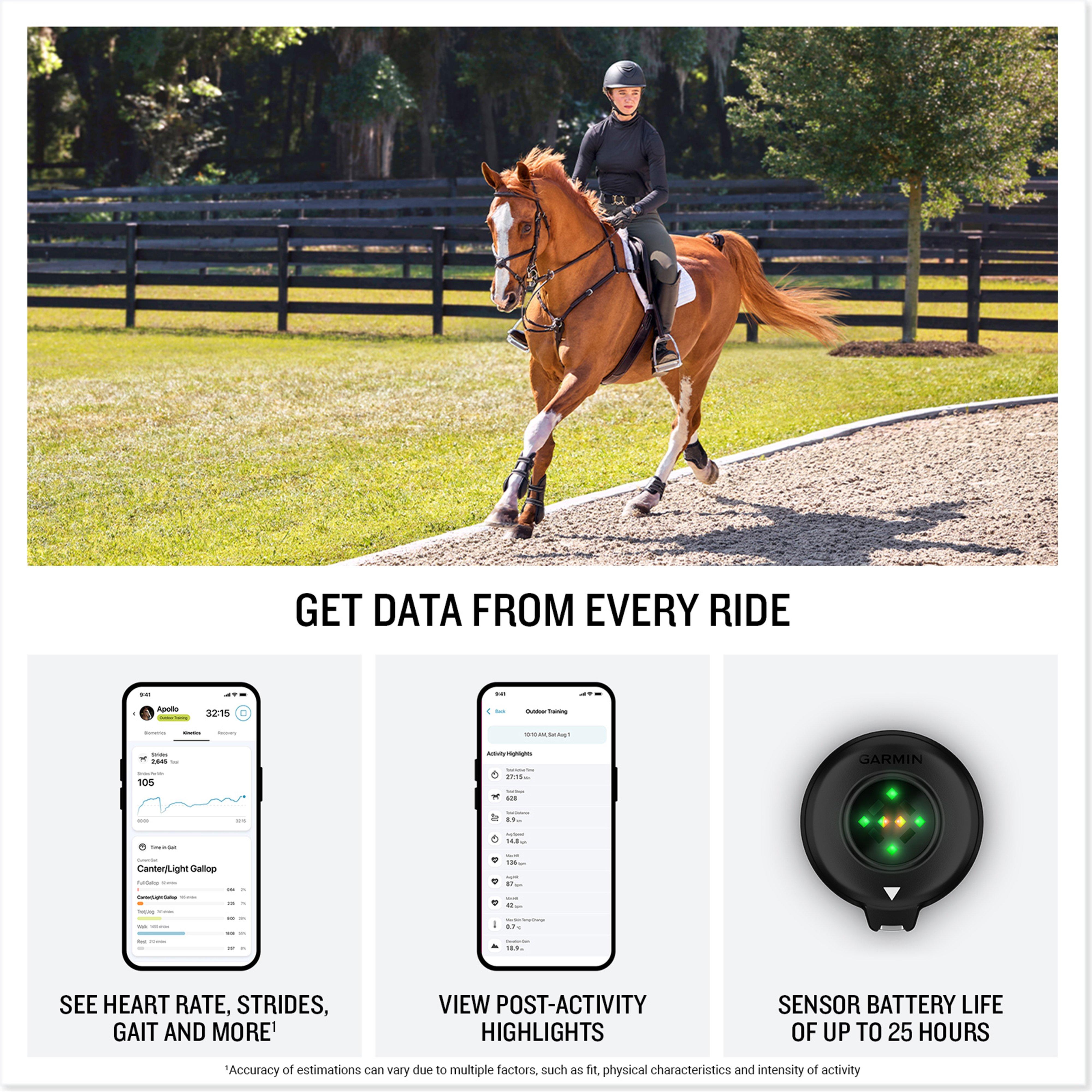 Blazeâ„¢ Equine Wellness System