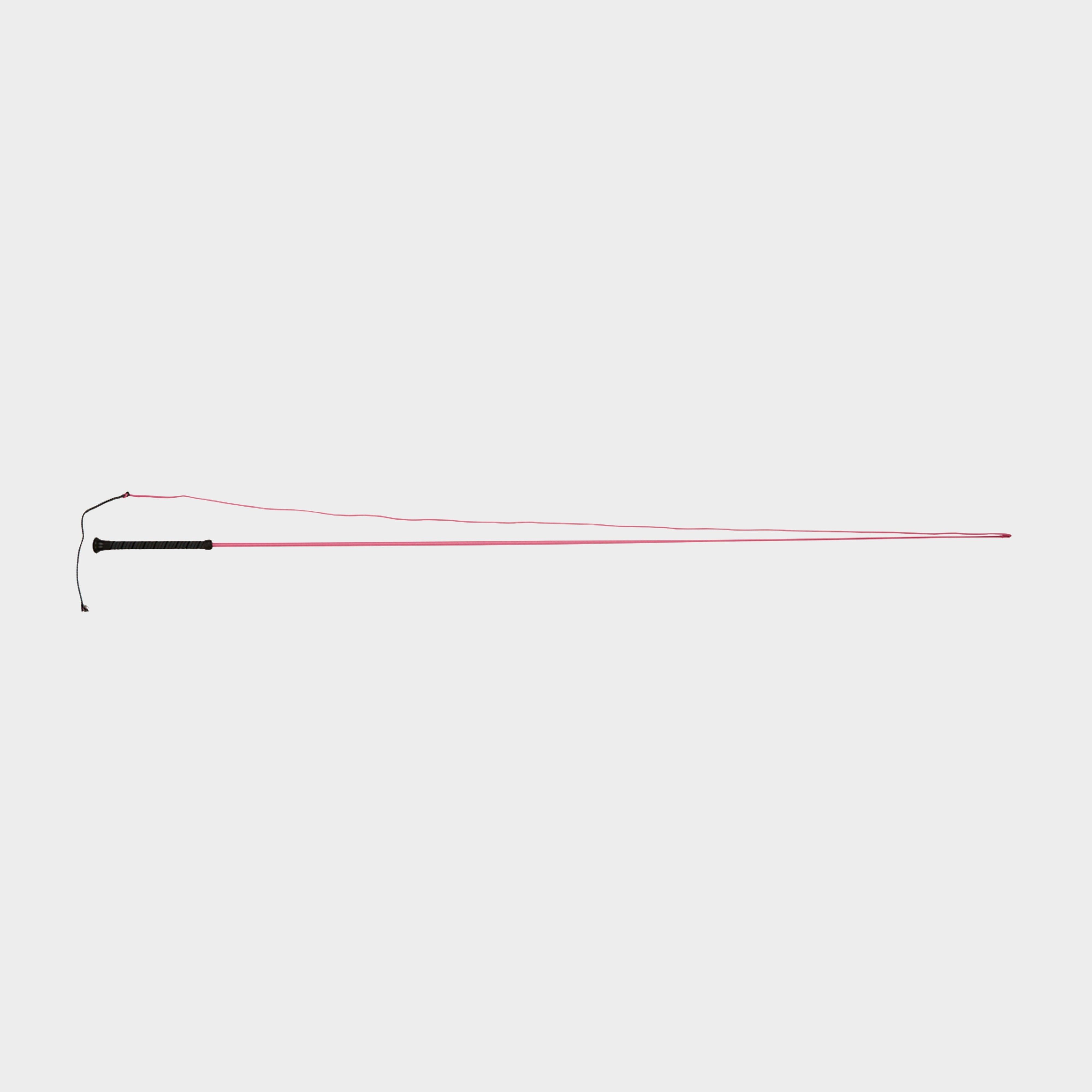 Brights Lunge Whip Pink