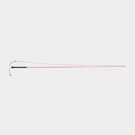 Brights Lunge Whip Pink