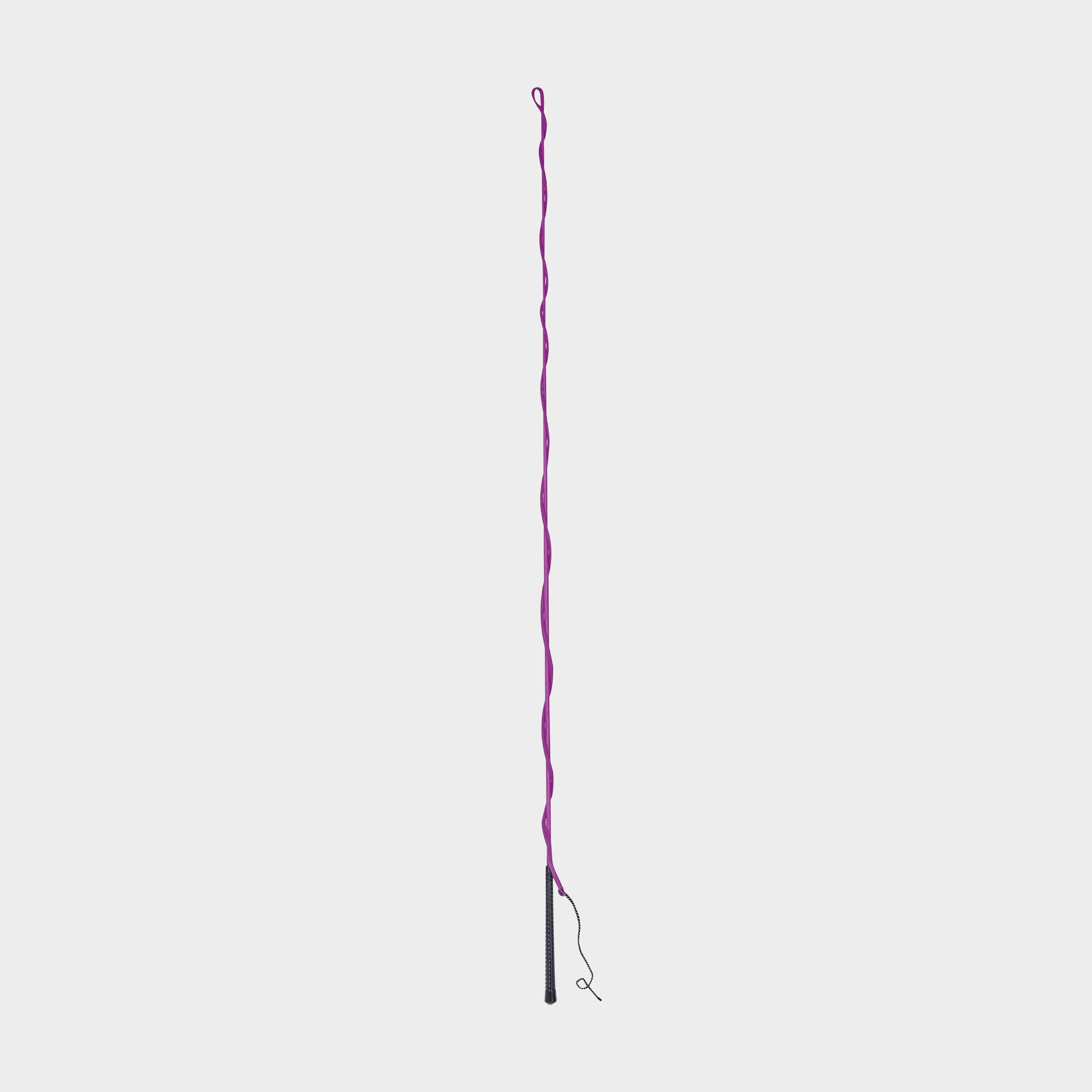Brights Lunge Whip Purple