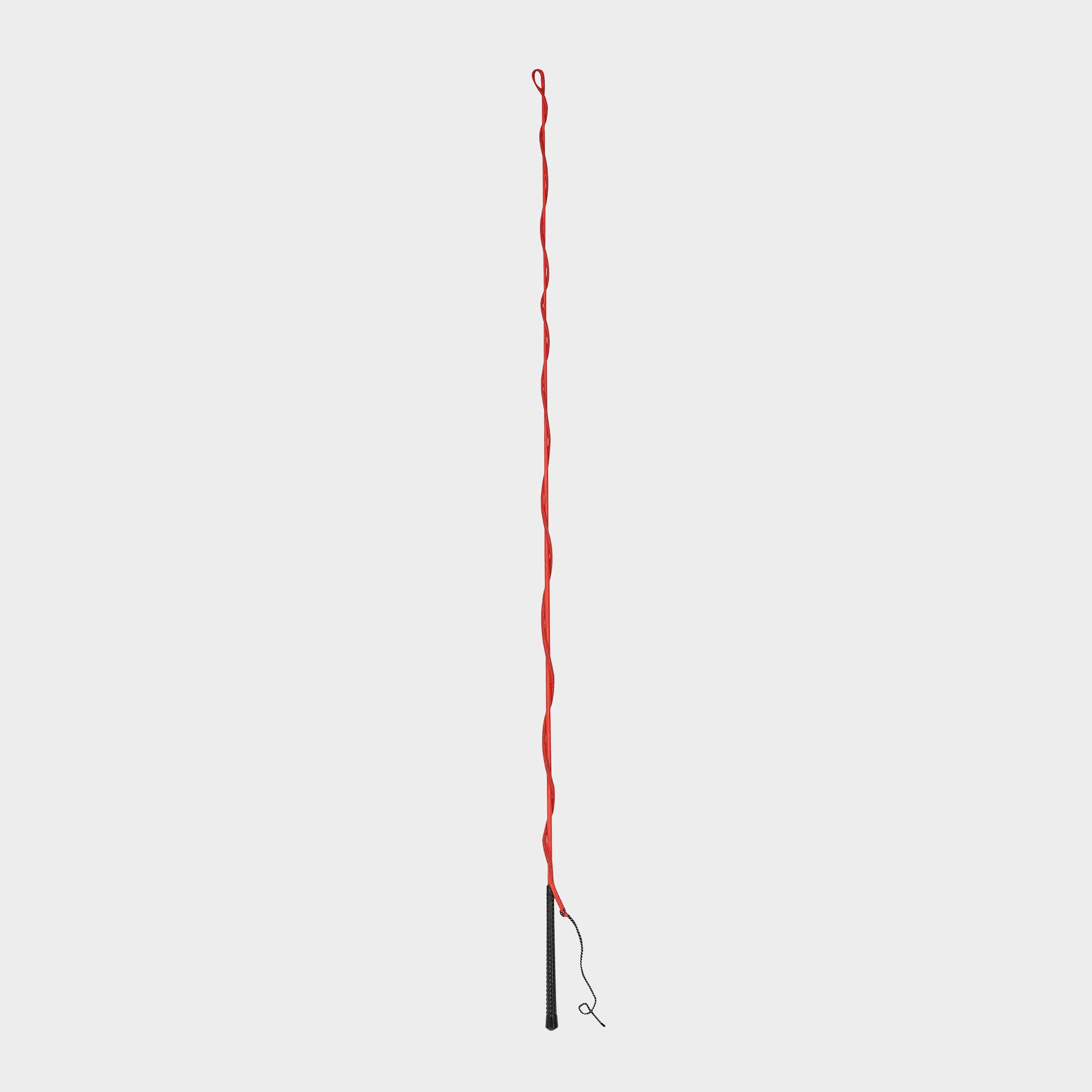 Lunge Whip | Red