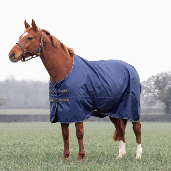 Typhoon Lite Standard Neck Turnout Rug 0G Navy