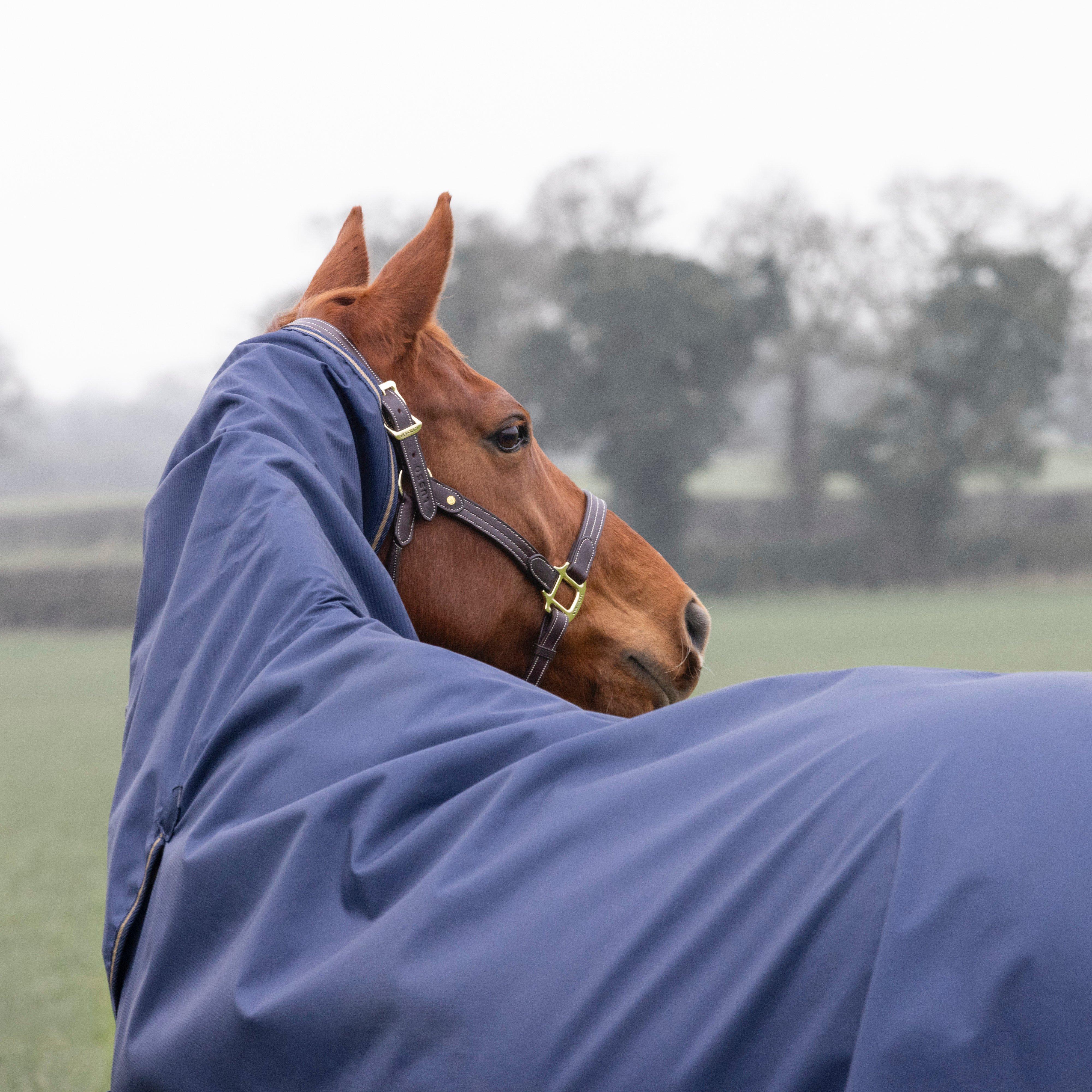 Typhoon Lite Standard Neck Turnout Rug 0G Navy