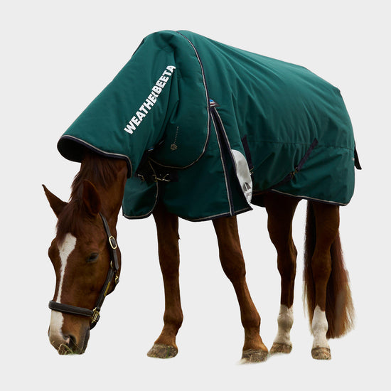 ComFiTec Plus Dynamic Detach-A-Neck 100g Forest Green/Navy