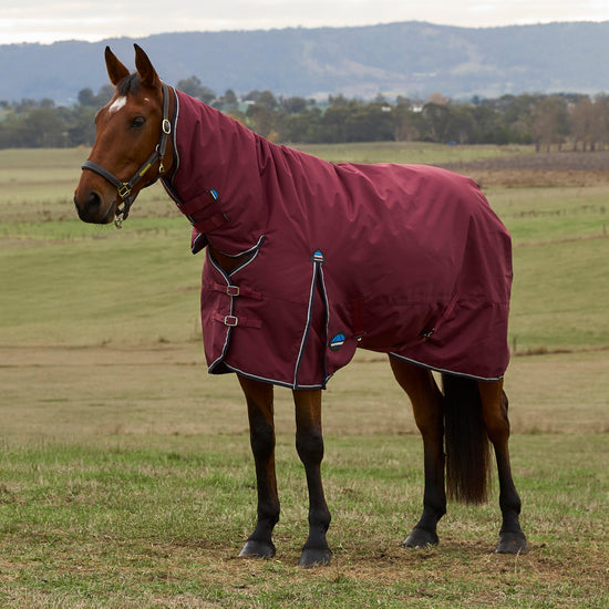 ComFiTec Prelim 0G Combo Neck Turnout Rug Burgundy
