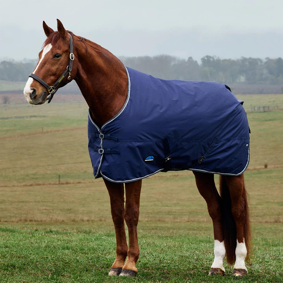 ComfiTec Tyro Standard Neck Turnout Rug 50g