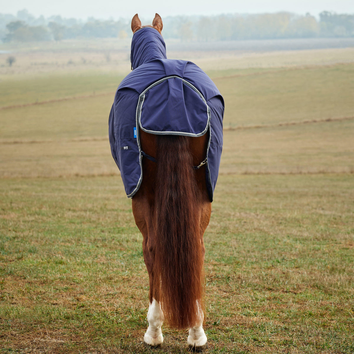 ComfiTec Tyro Standard Neck Turnout Rug 50g