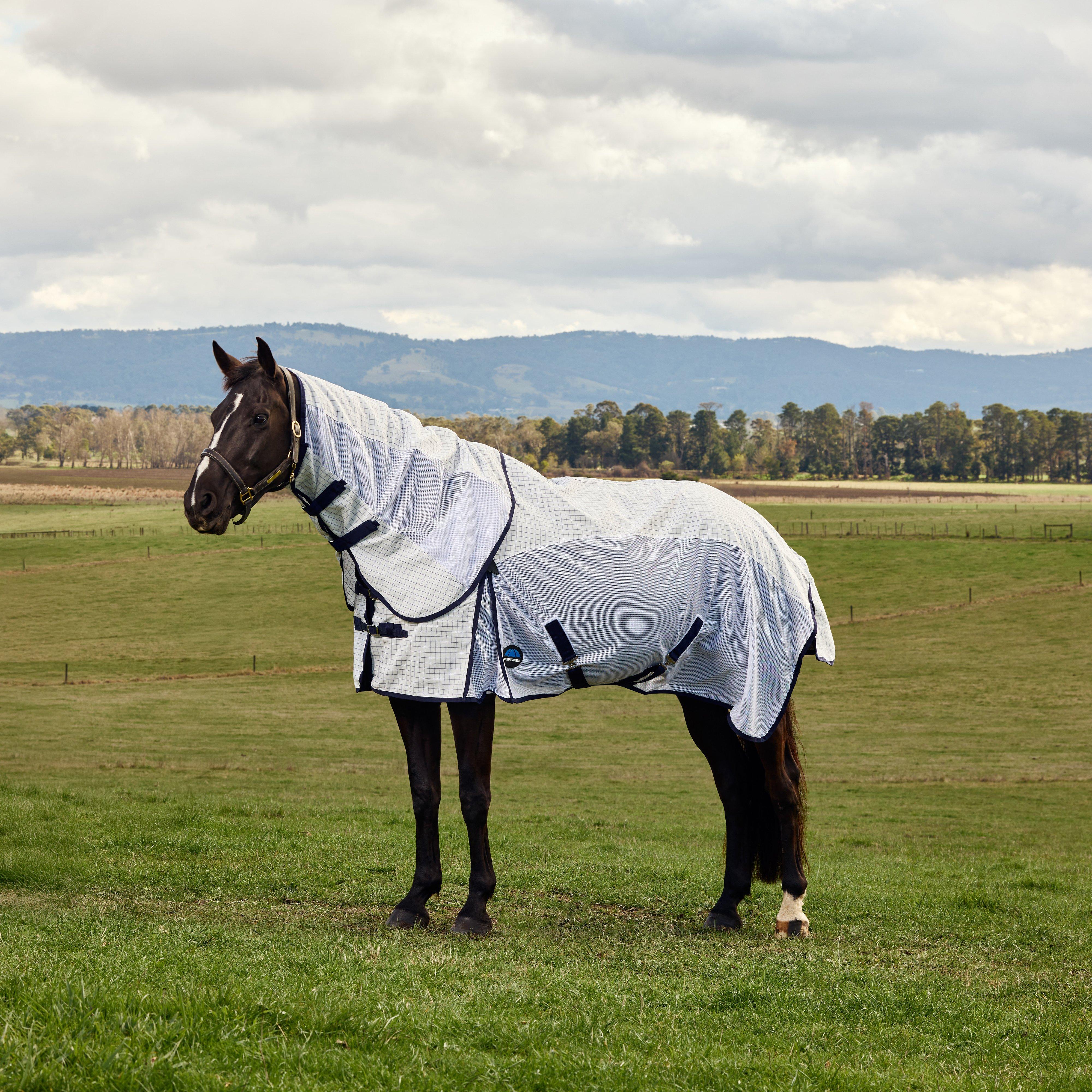 Airstream Combo Fly Sheet White/Navy