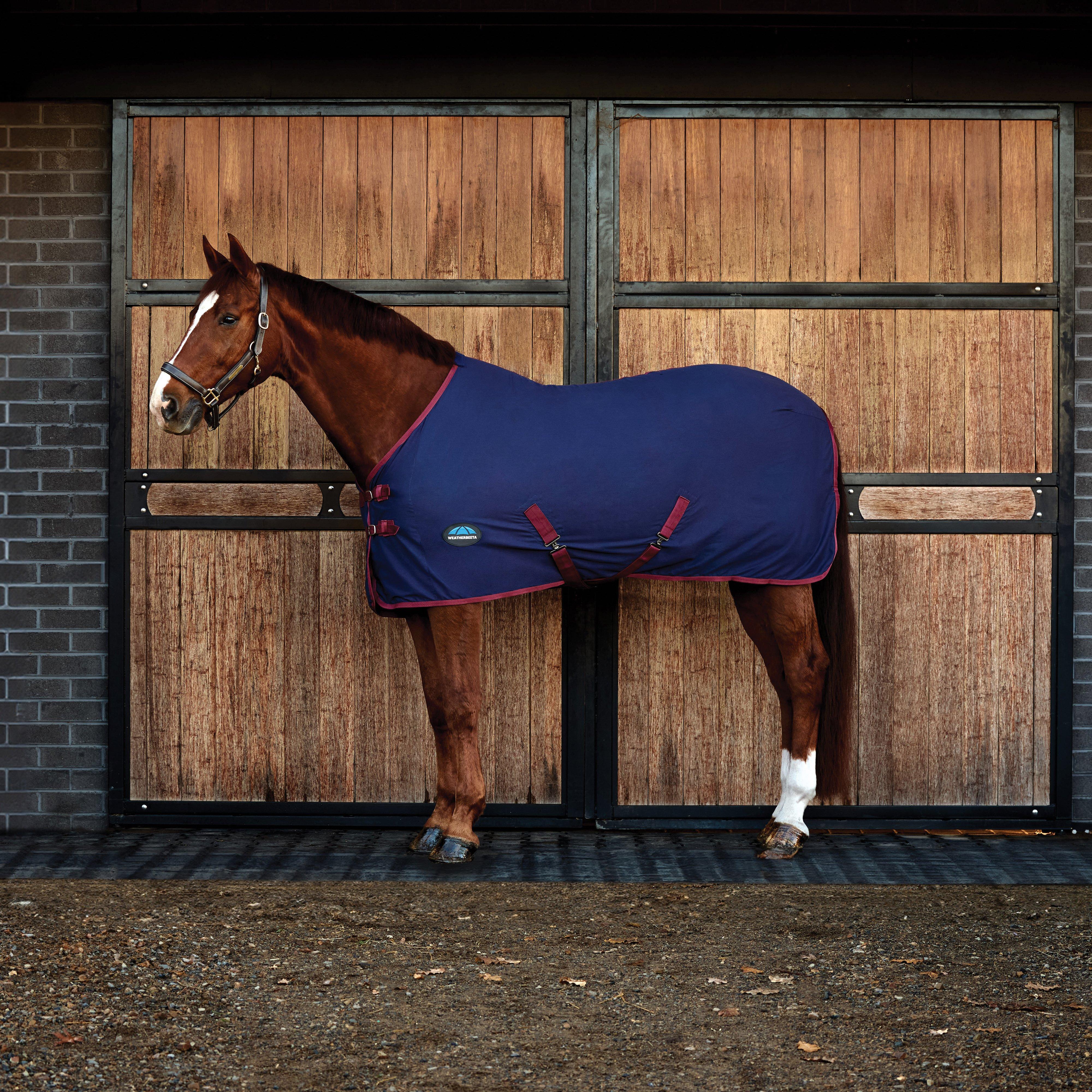 Cotton Sheet Standard Neck Navy/Burgundy