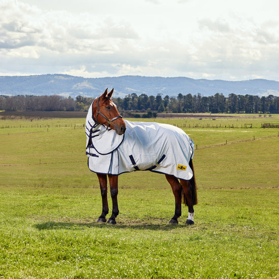 Kool Coat Classic Combo