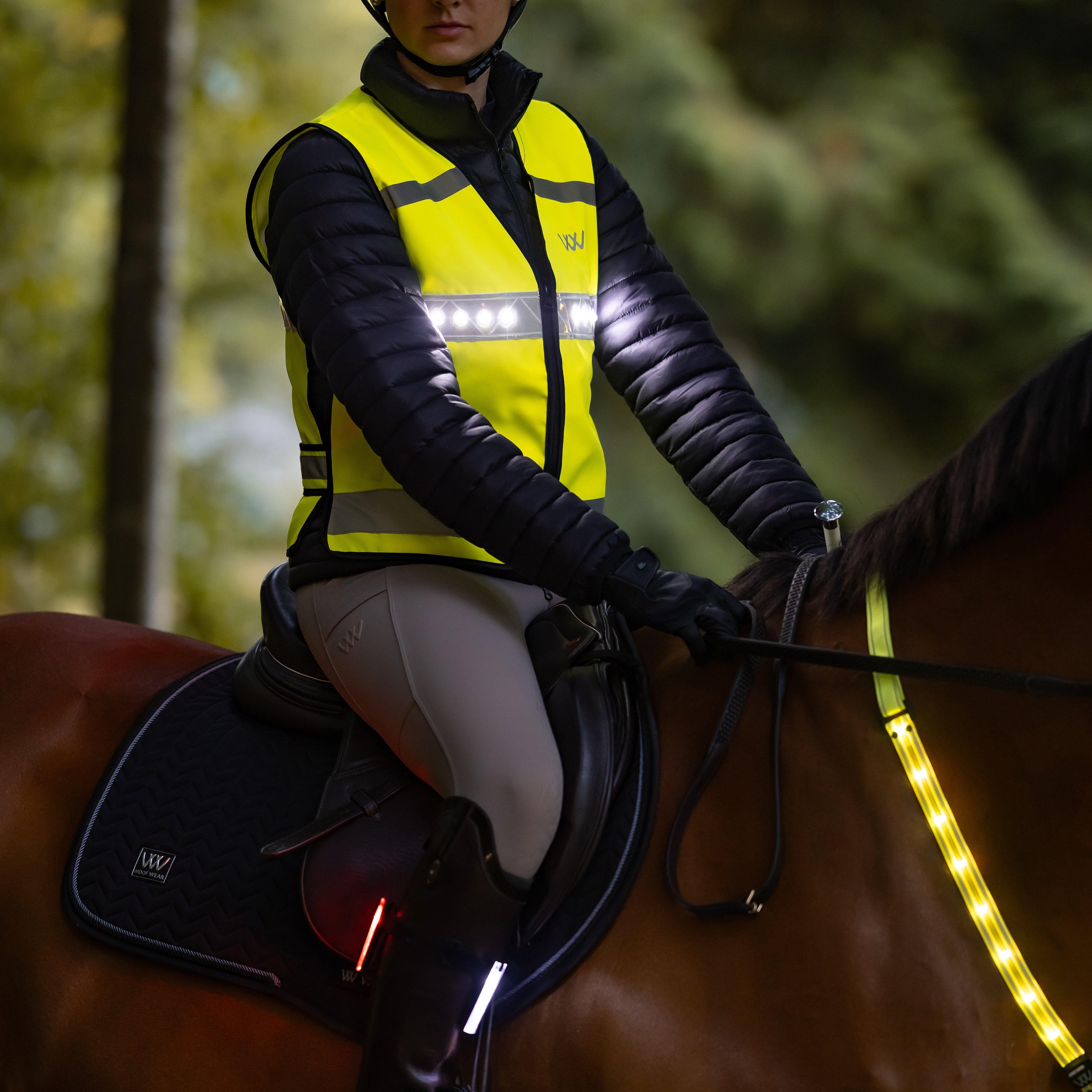 3-in-1 Rider Safety Lights