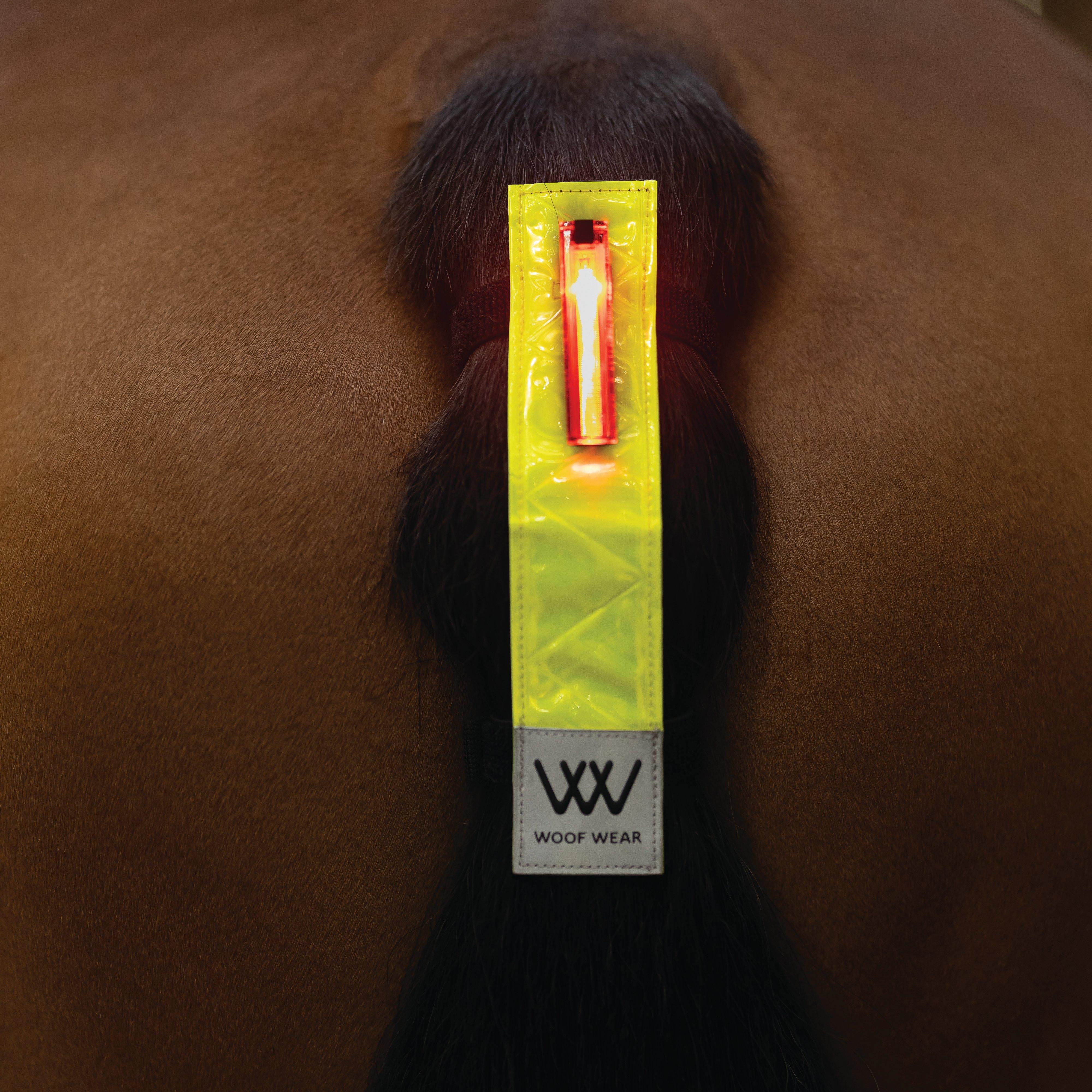 Hi Vis LED Tail Light