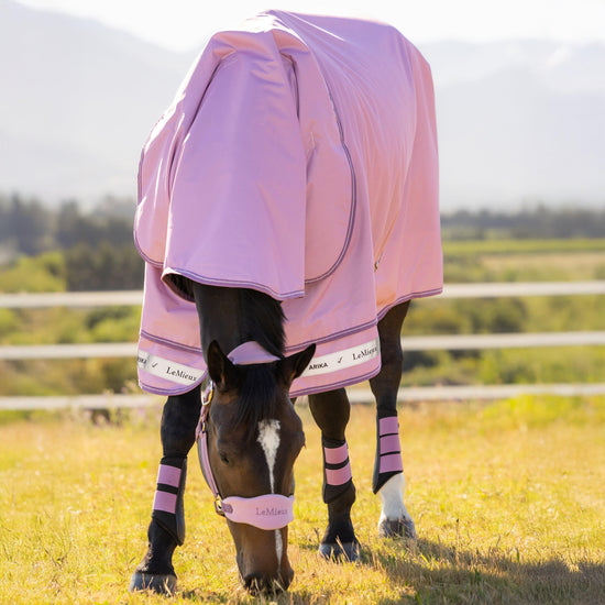 Arika Ripstop Turnout Rug 0g Fondant