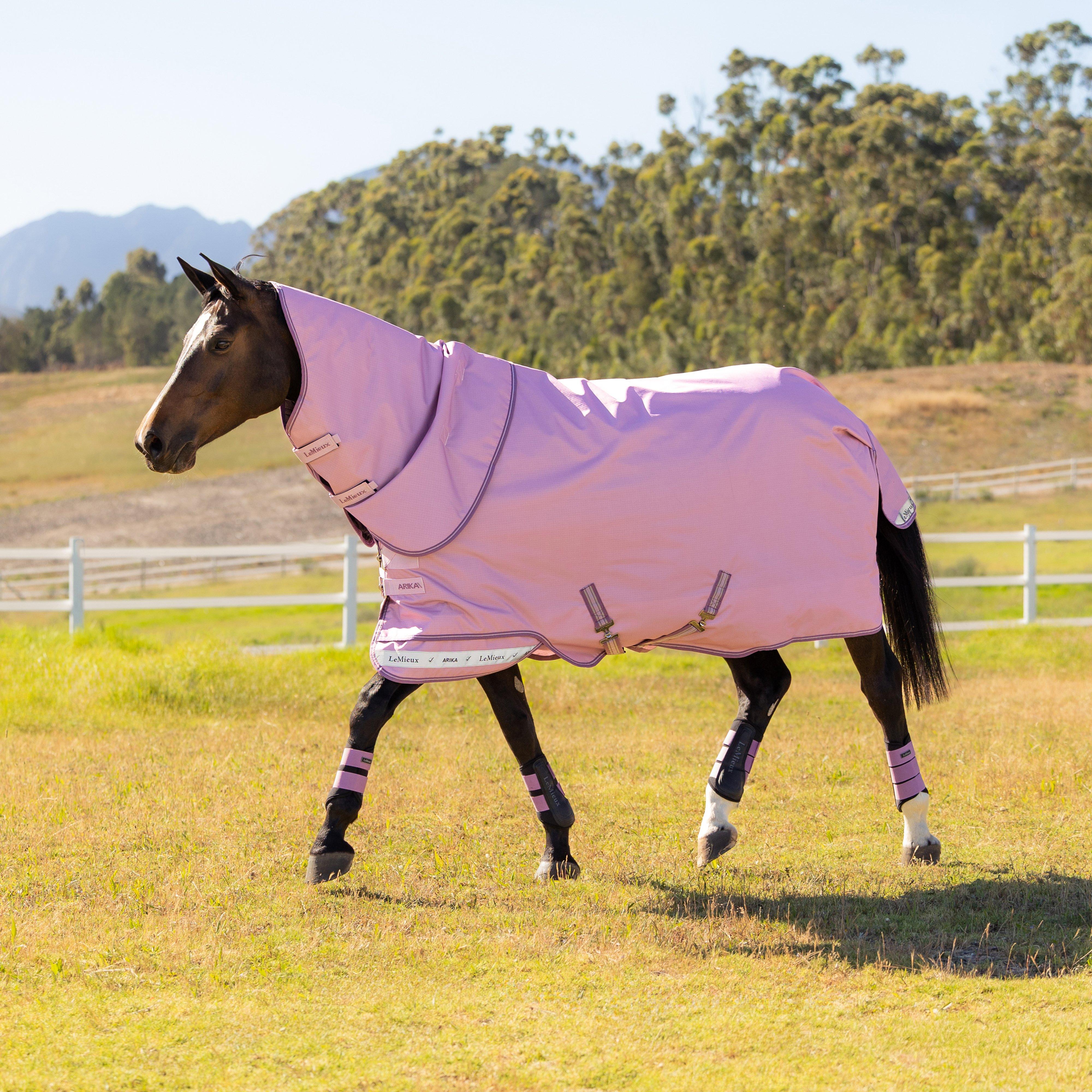 Arika Ripstop Turnout Rug 0g Fondant