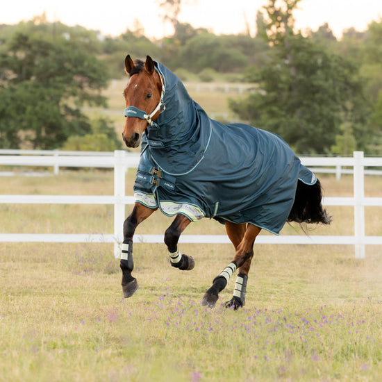 Arika Ripstop 50g Turnout Rug Jungle