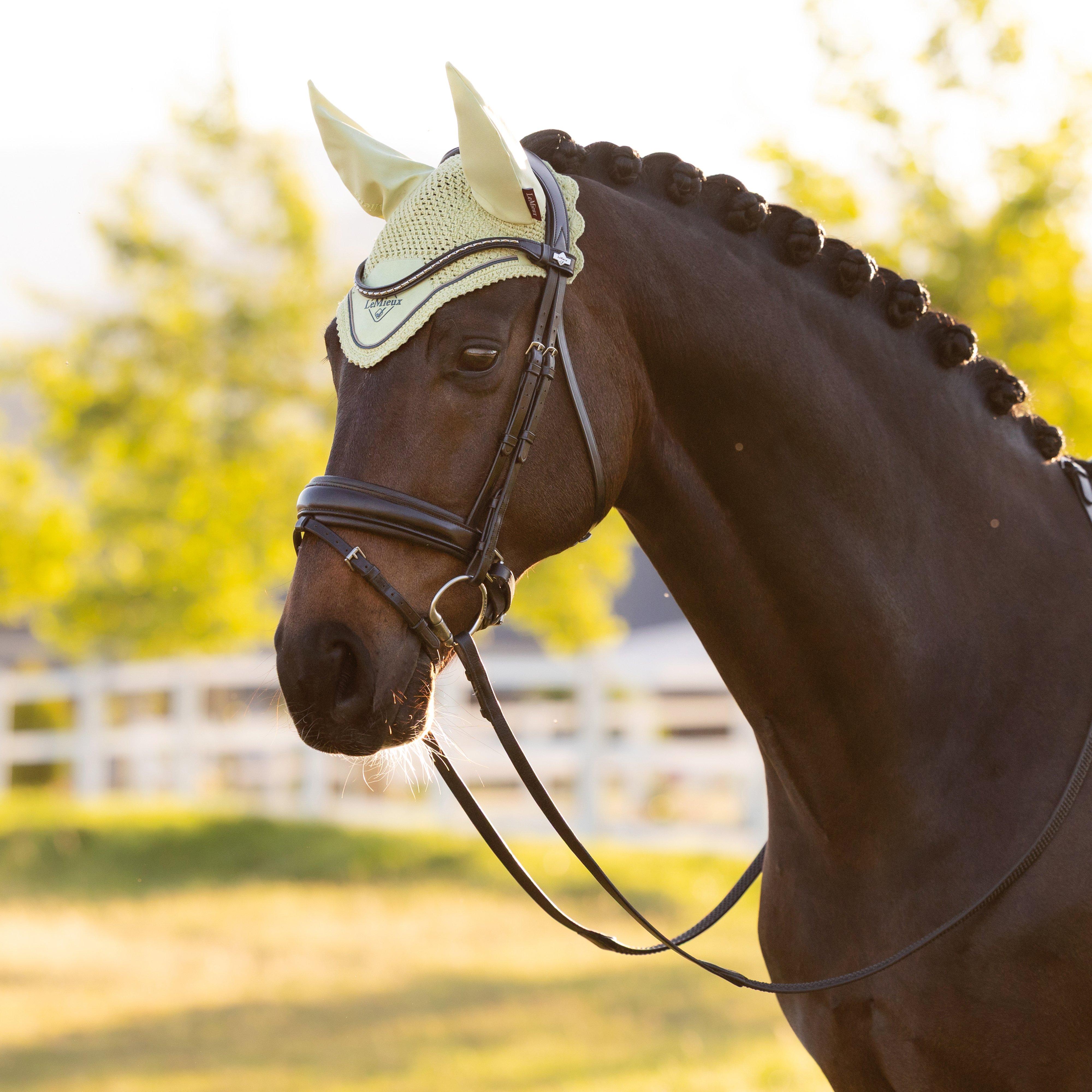 Classic Fly Hood Macaron