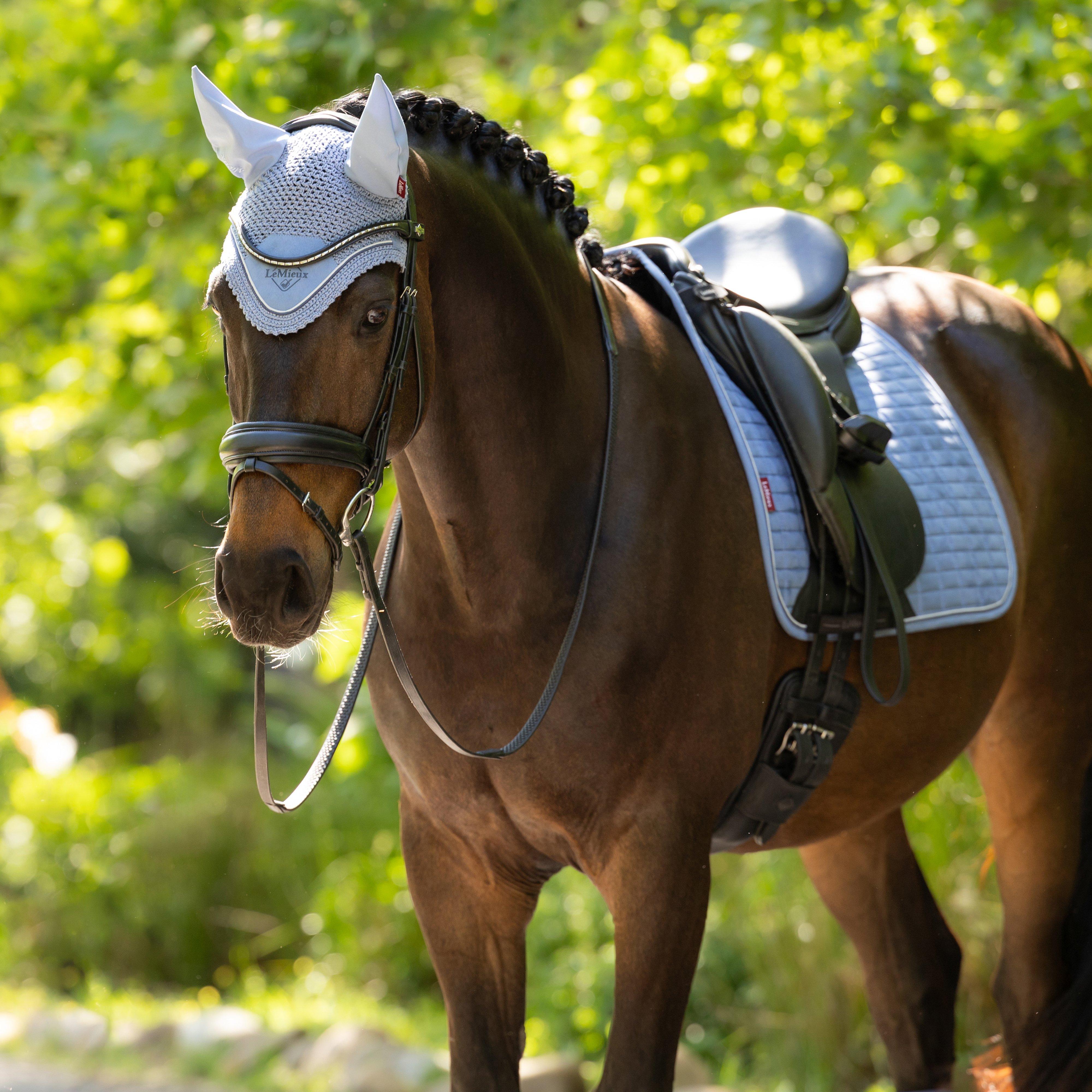Classic Fly Hood Powder Blue