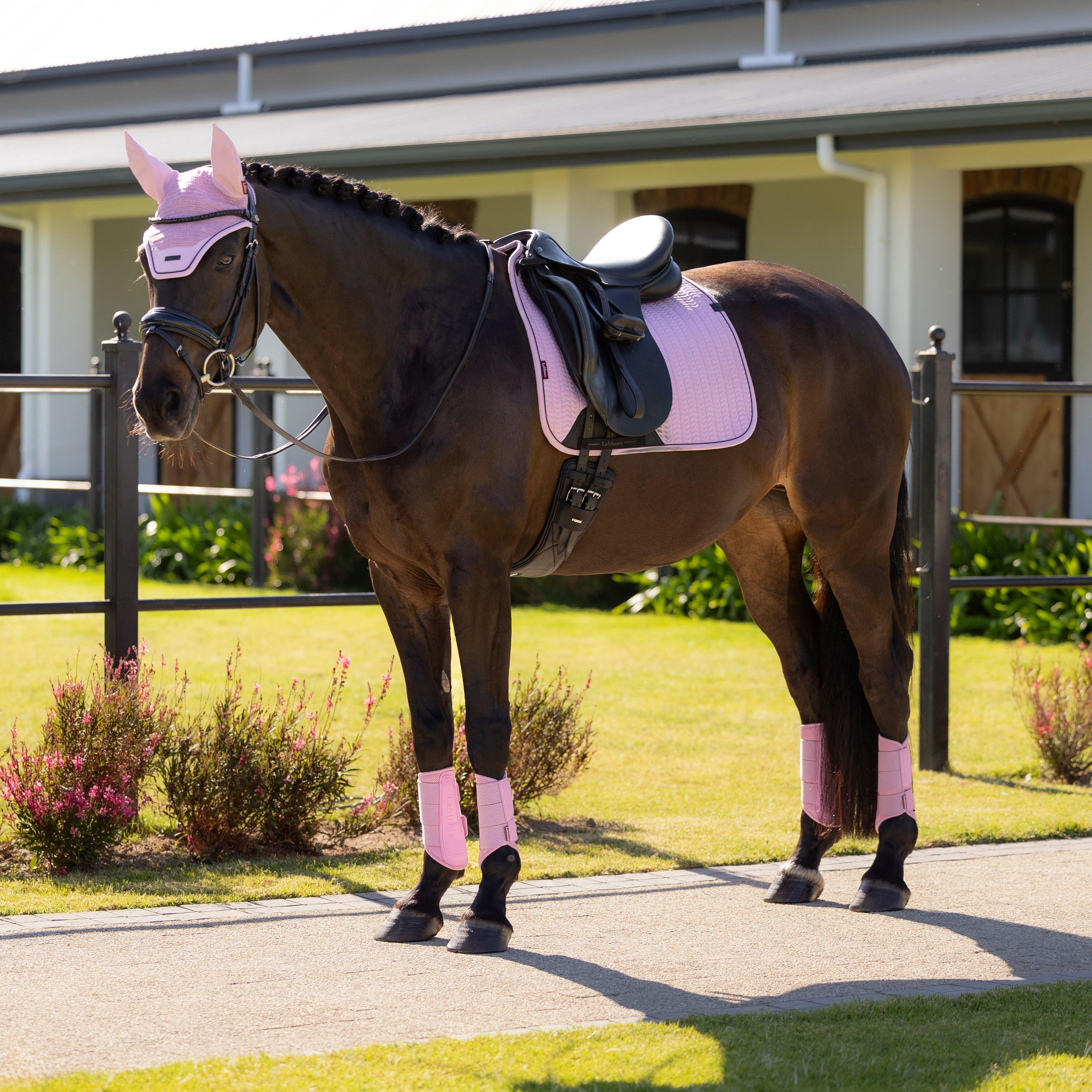 Essence Dressage Square Saddle Pad Fondant