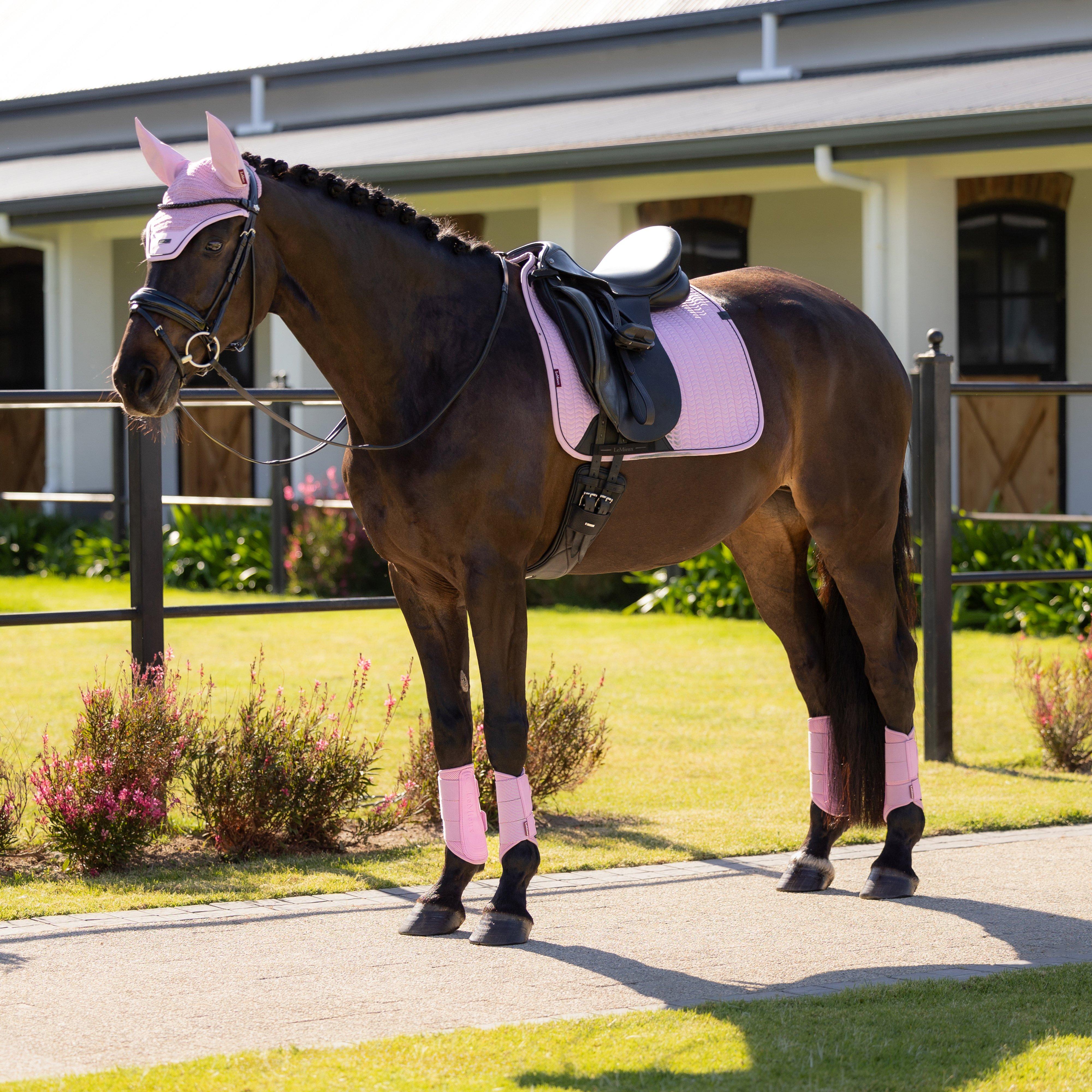 Essence Dressage Square Saddle Pad Fondant