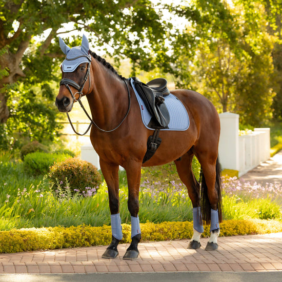 Essence Dressage Square Saddle Pad Powder Blue