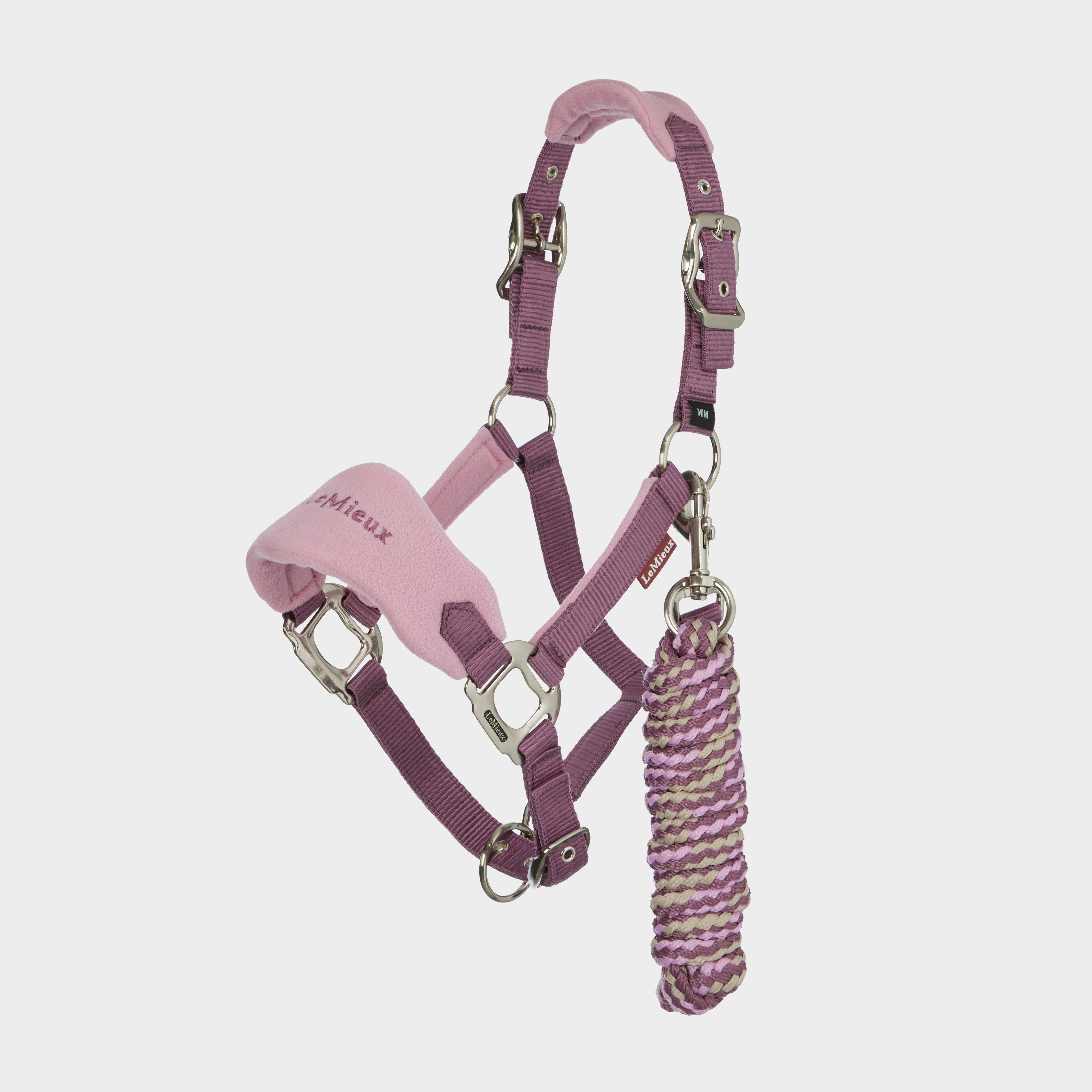 Mini Vogue Headcollar and Leadrope Mallow