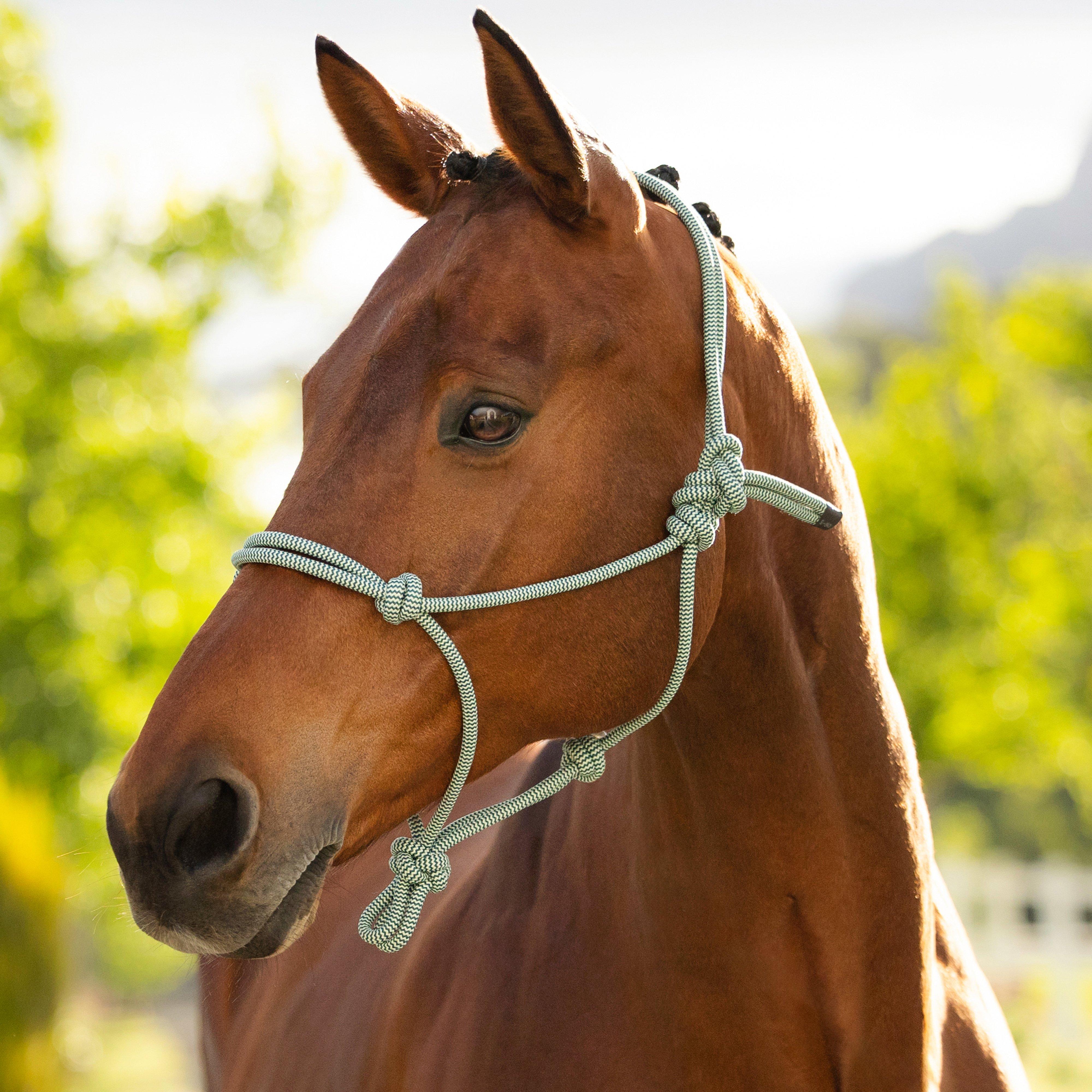 Rope Headcollar Macaron