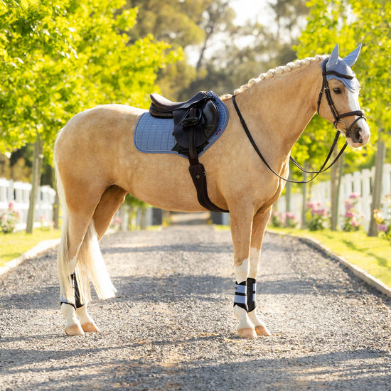 Suede Close Contact Saddle Pad Powder Blue