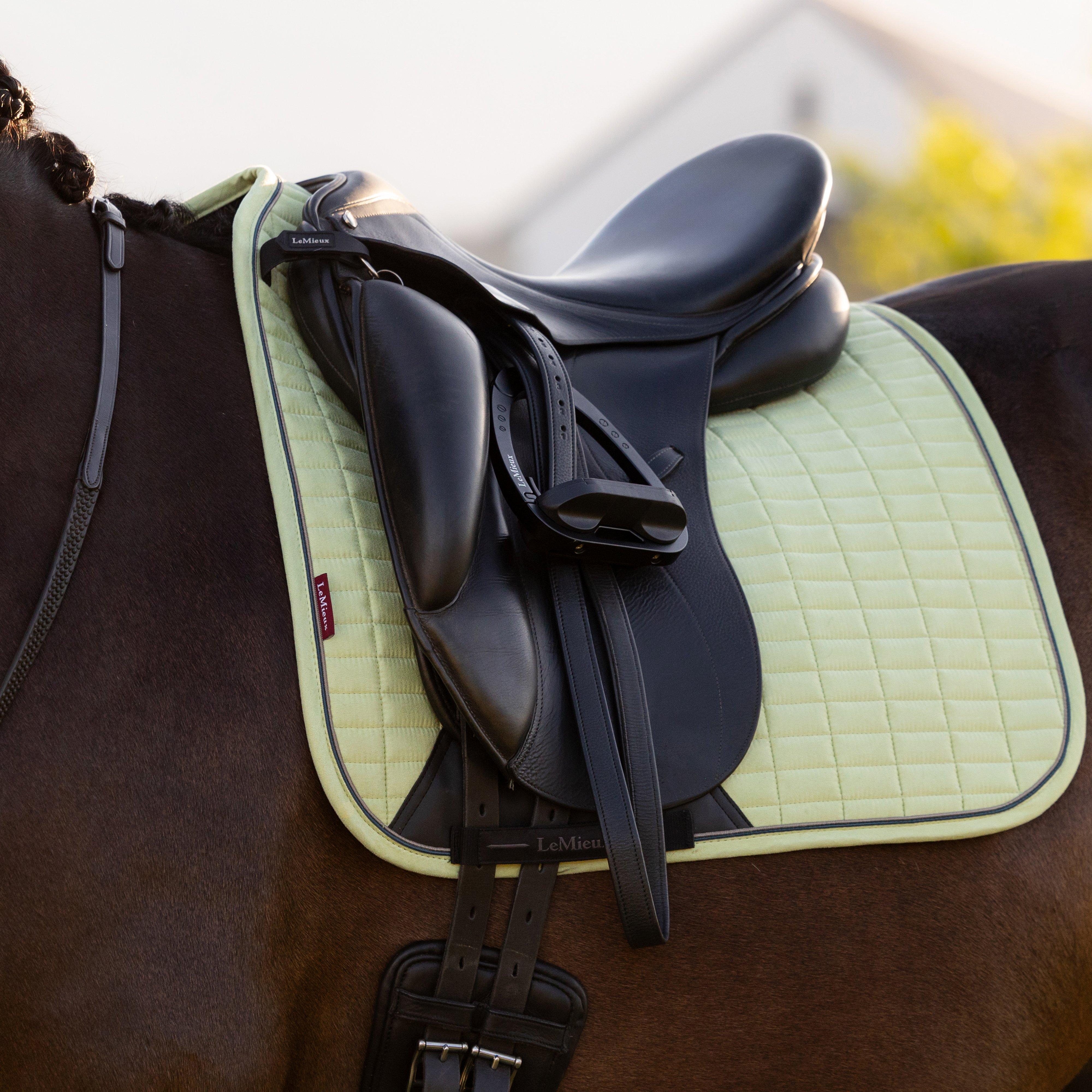 Suede Dressage Saddle Pad Macaron