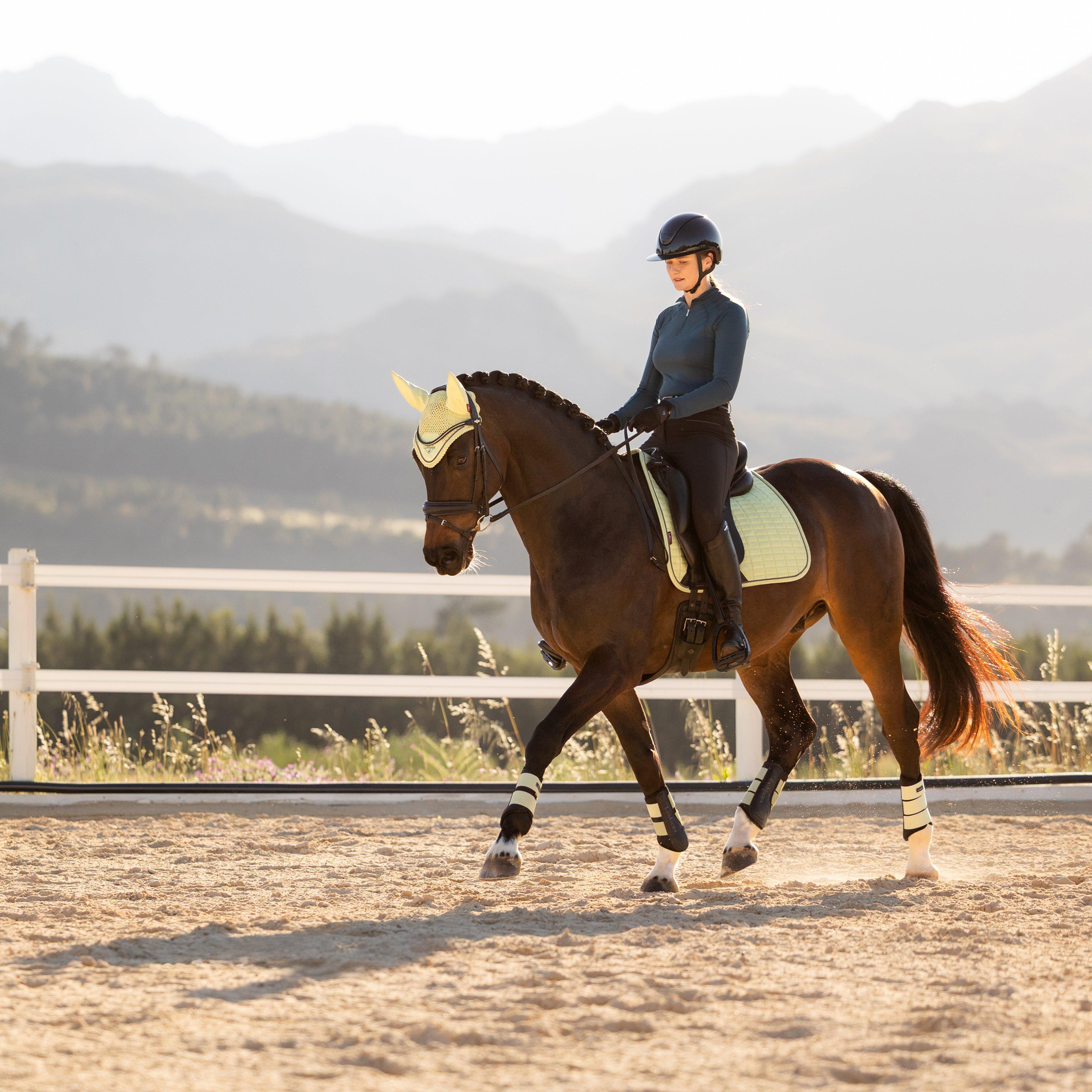Suede Dressage Saddle Pad Macaron