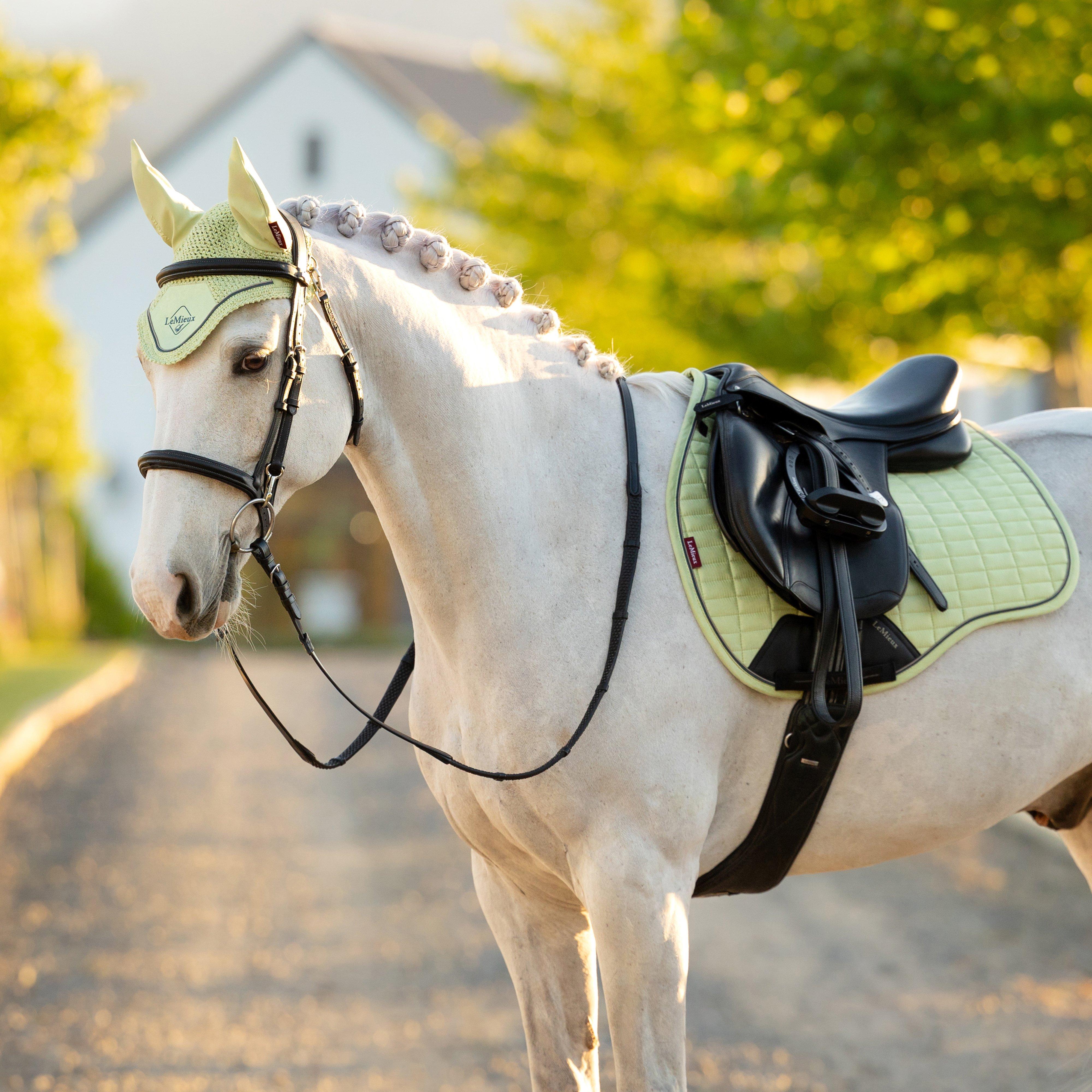 Suede GP Saddle Pad Macaron