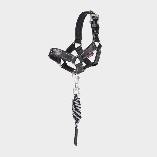 Toy Pony Headcollar Black Leather