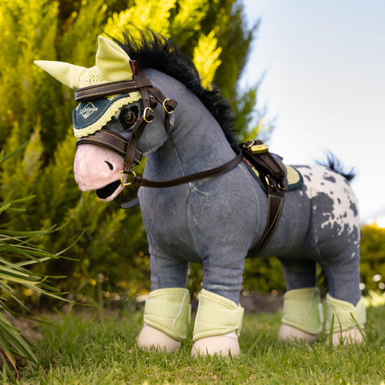 Toy Pony Fly Hood Macaron