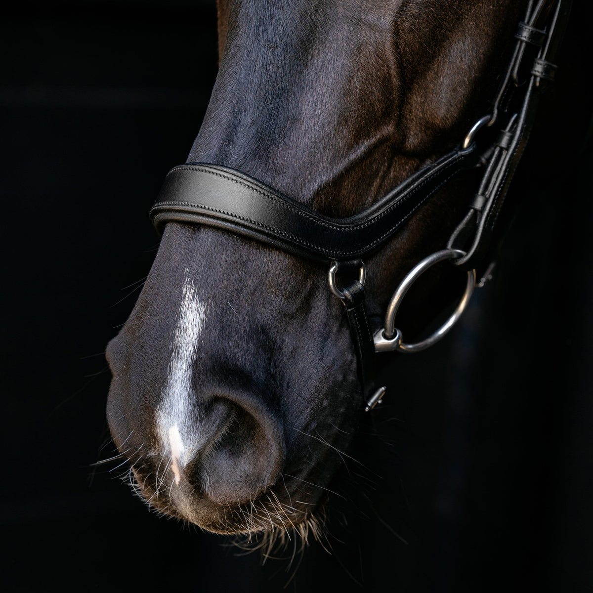 Arika Anatomic Drop Bridle