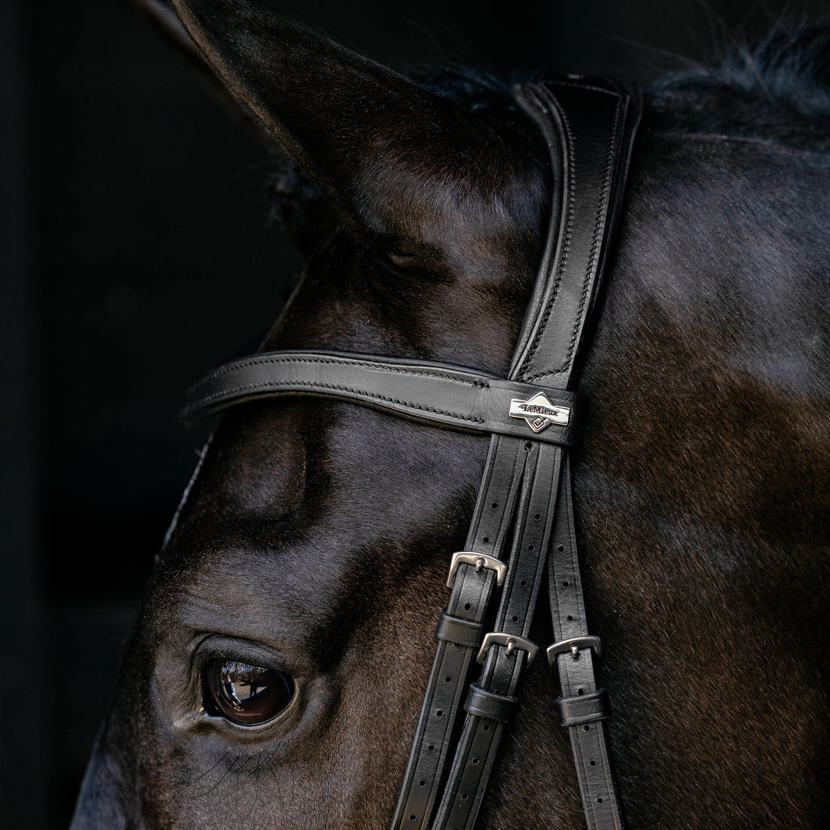 Arika Anatomic Drop Bridle